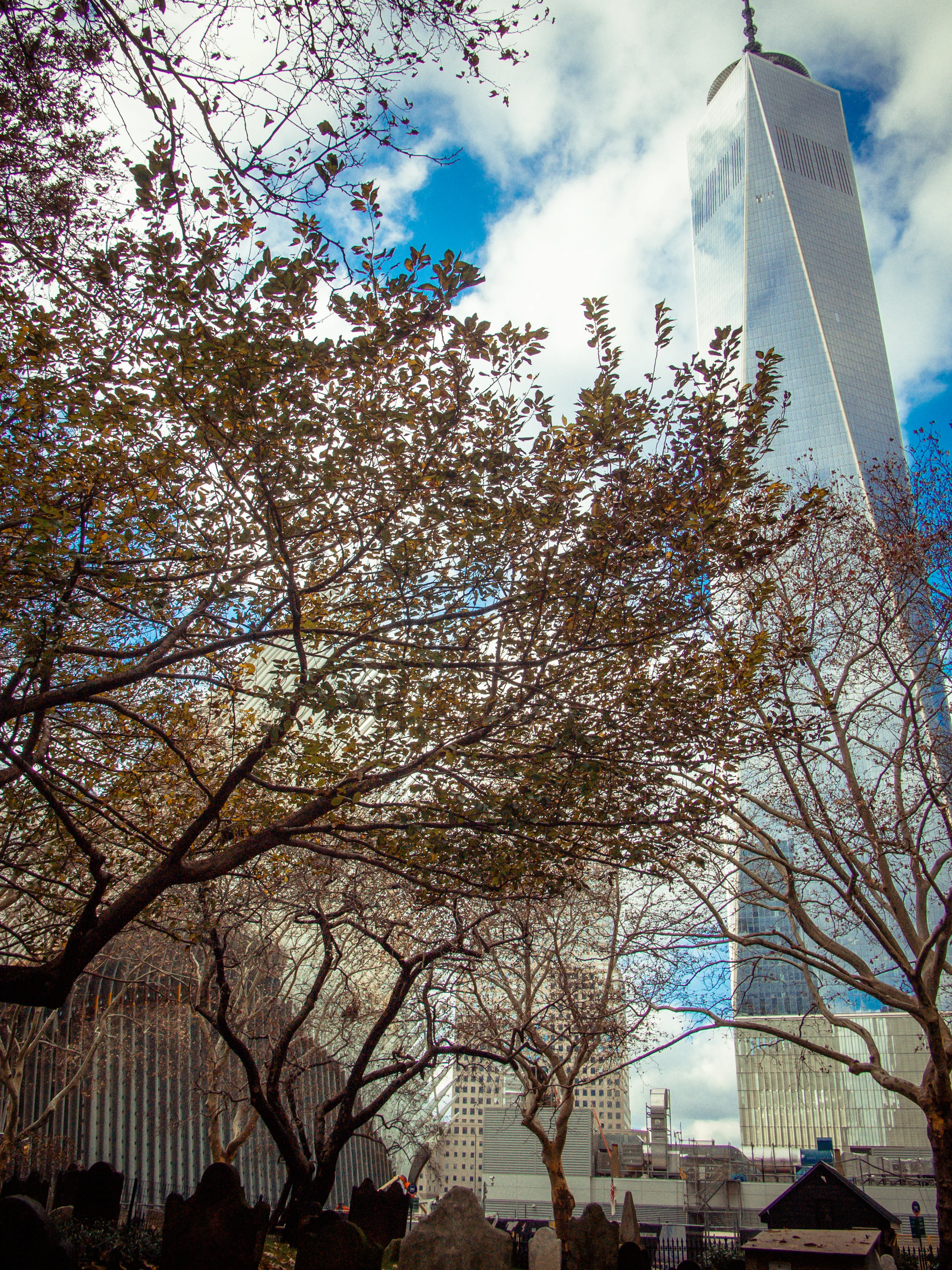 projectcohort2014 (1 of 1)-28.jpg