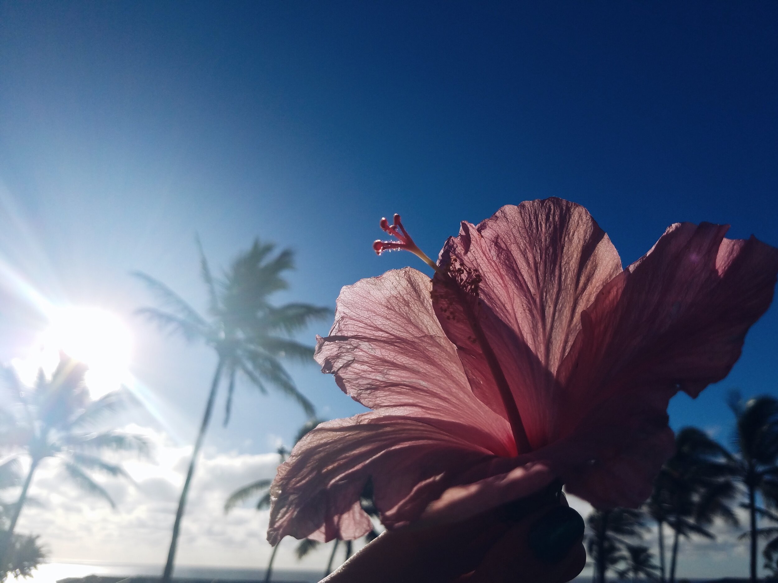 Processed with VSCO with a5 preset
