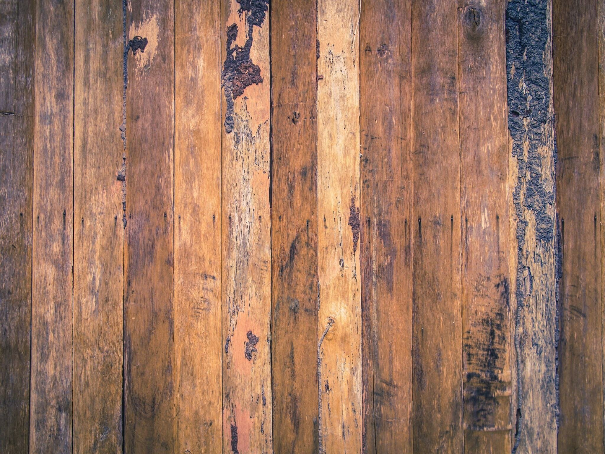 B2EE8502-600C-4893-ADE4-D68C748B16A4.jpeg