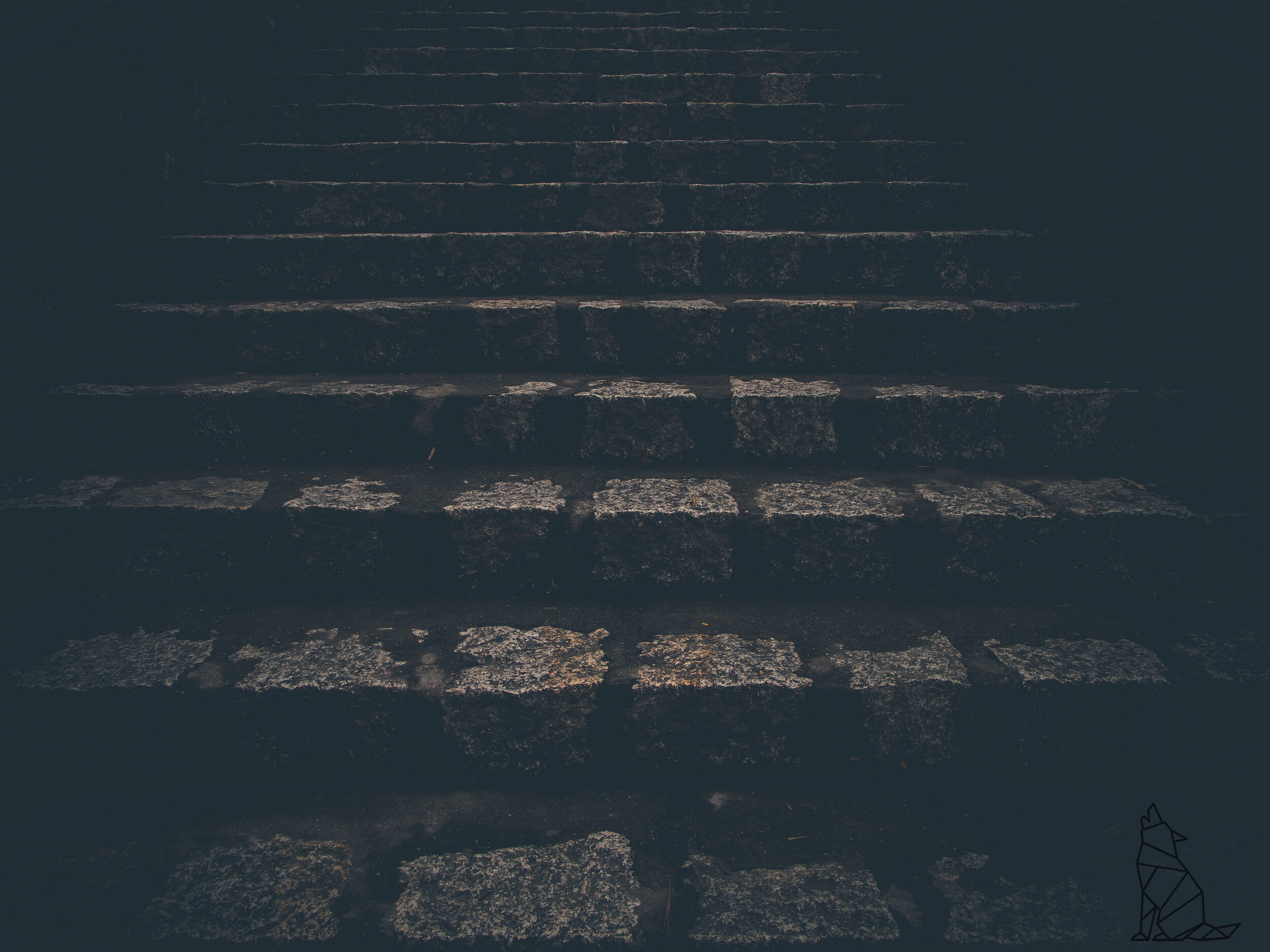 E1752FA4-C8BD-439D-AC32-C8D126F3DC9A.jpeg