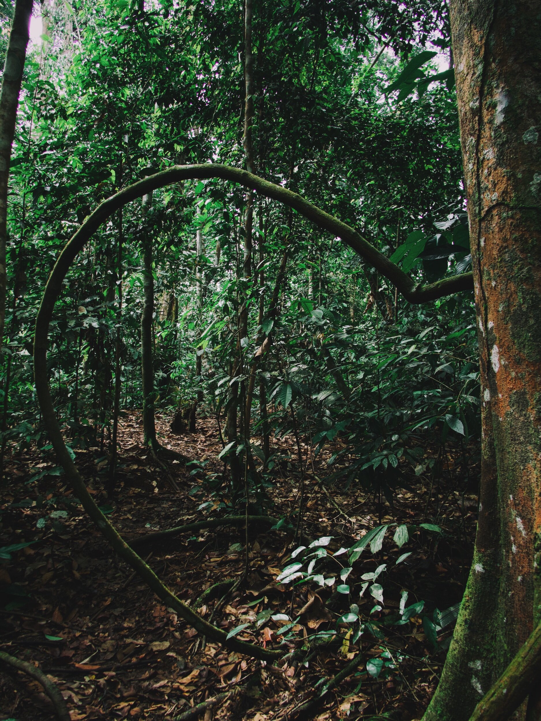 652B5B76-1E5D-462F-ADF2-603F45B3E037.jpeg