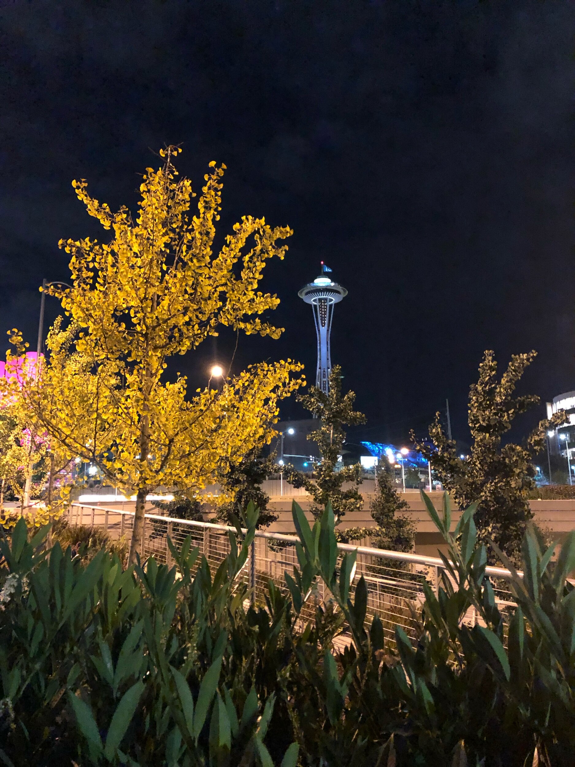 IMG_1518.jpeg
