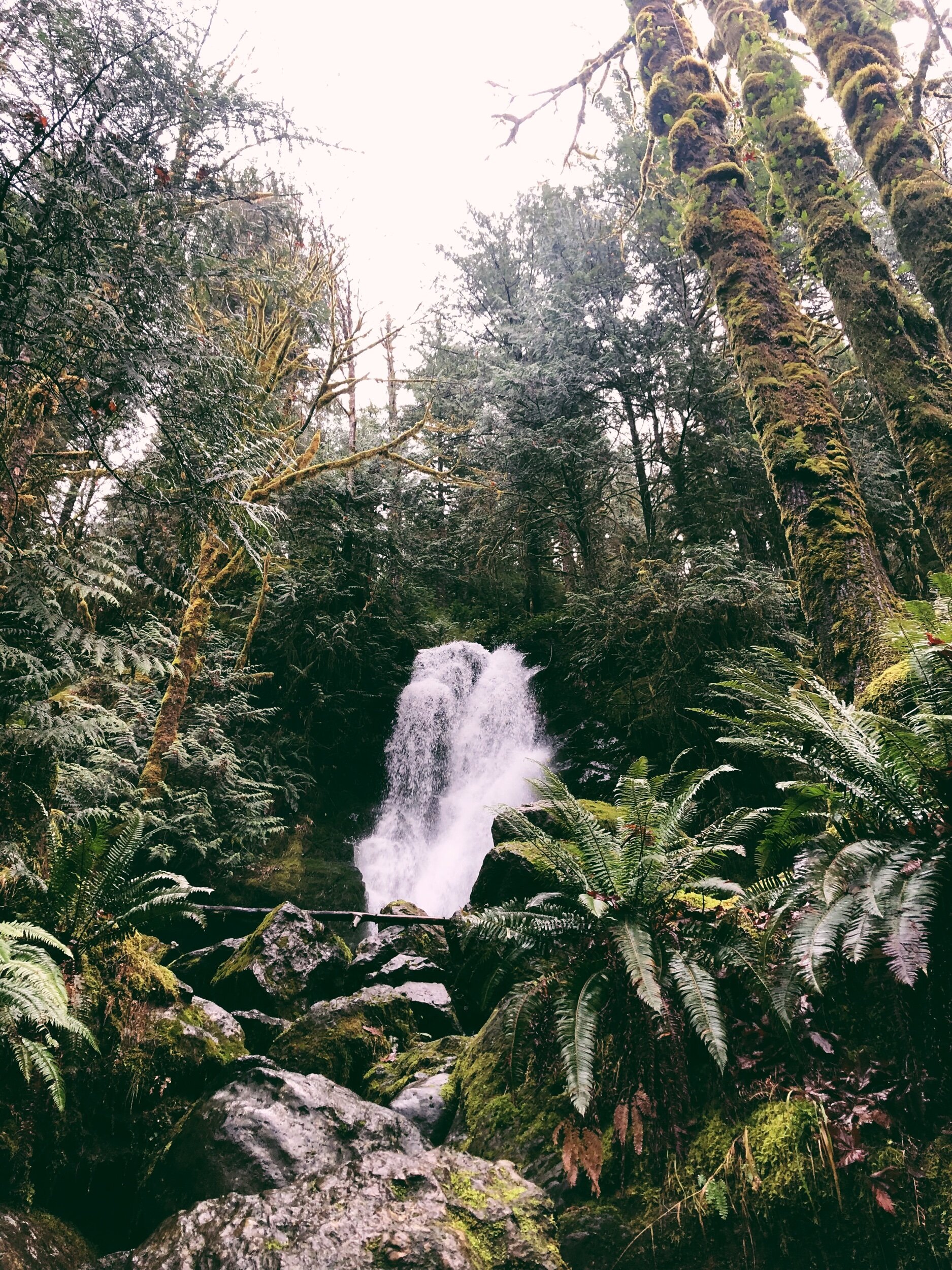 6C035169-E96F-4399-AF00-0830FA32D8B9.jpeg
