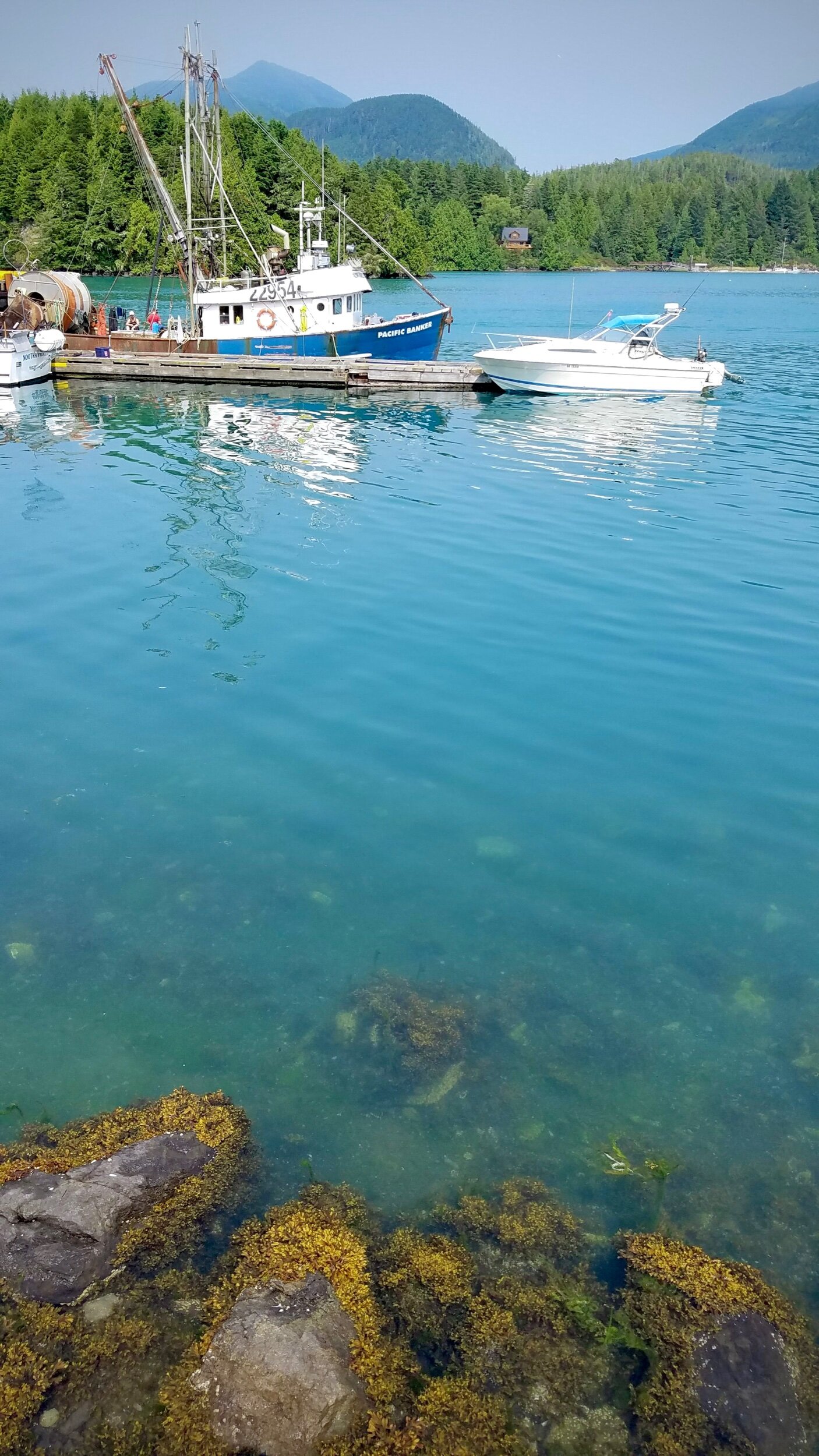 20170807_143253.jpeg