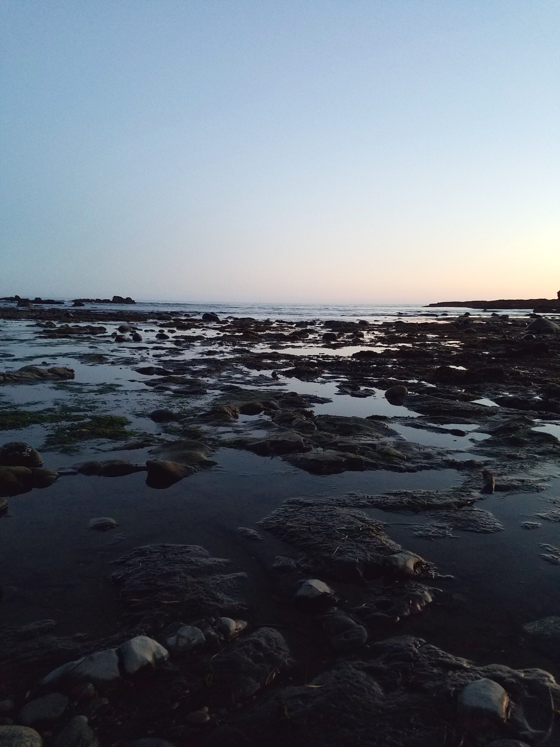 20160625_215617.jpeg