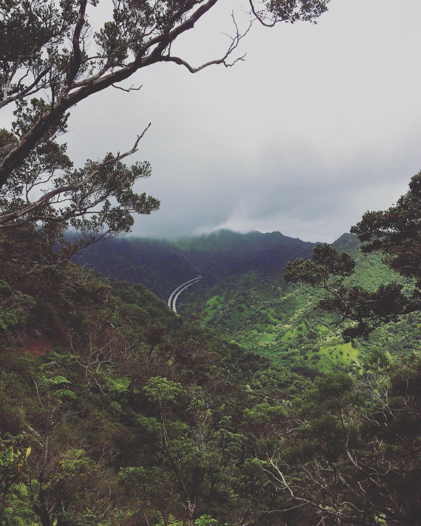 15011528-87B9-4E98-A39A-486BF9F9D95C.jpeg