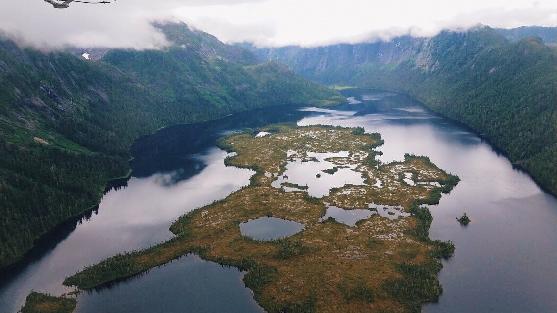 Alaska / Melanie Boling, Extreme Environments Behavioural Ecologist, Peer Wild