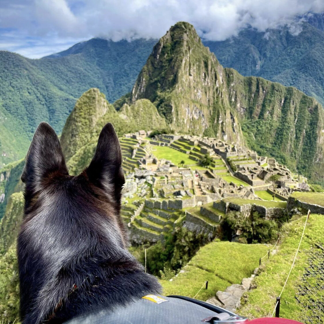 Machu Picchu / Melanie Boling, Extreme Environments Behavioural Ecologist, Peer Wild