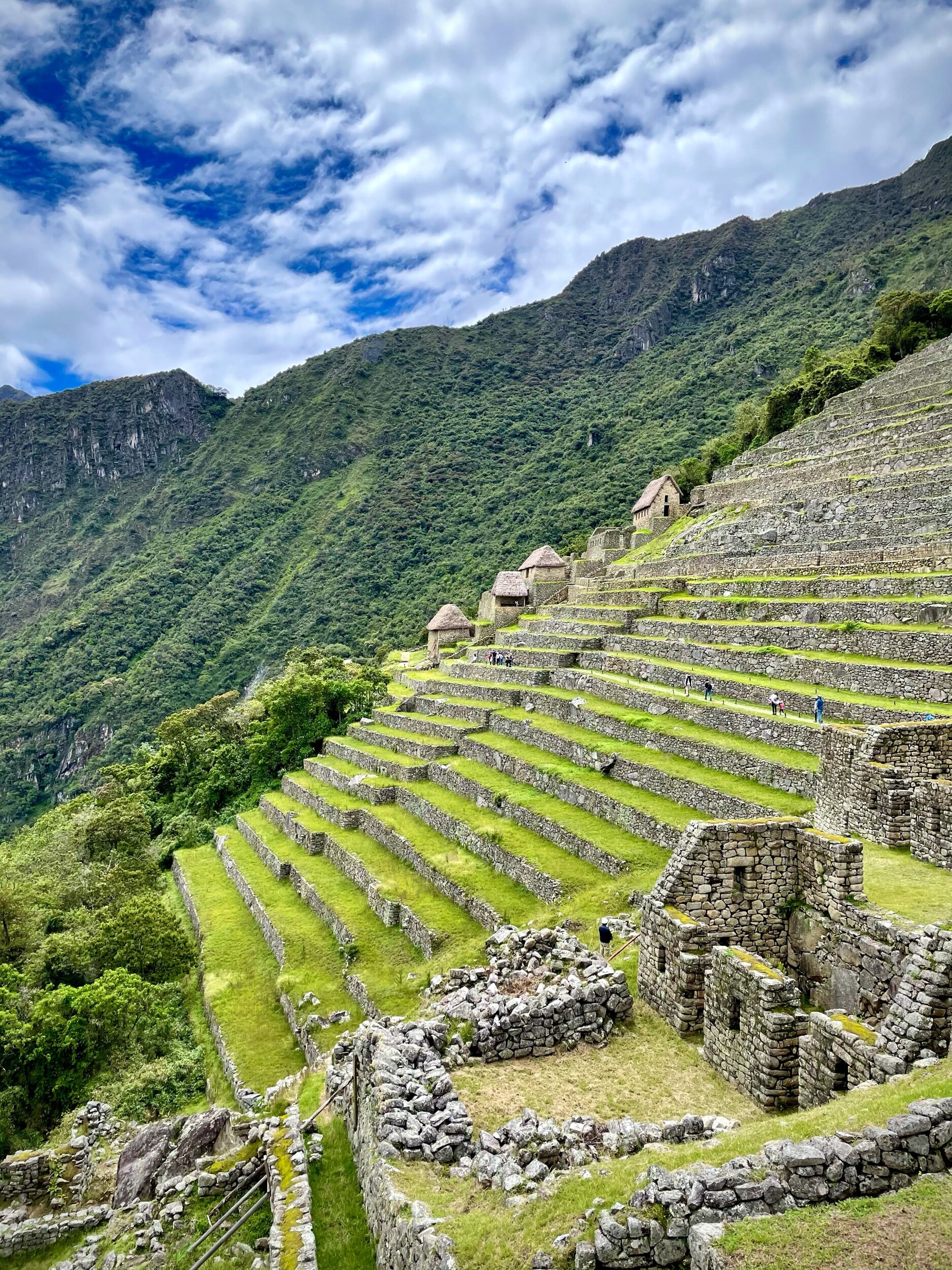 Machu Picchu // Melanie Boling, Extreme Environments Behavioural Ecologist, Peer Wild