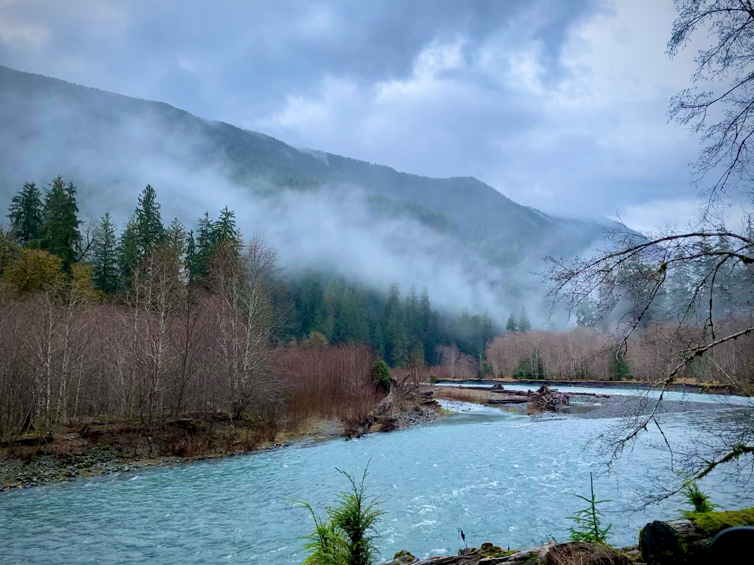 Olympic National Park / Melanie Boling, Extreme Environments Behavioural Ecologist, Peer Wild
