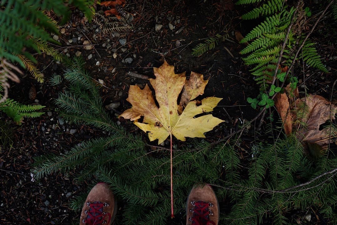 Olympic National Park / Melanie Boling, Extreme Environments Behavioural Ecologist, Peer Wild