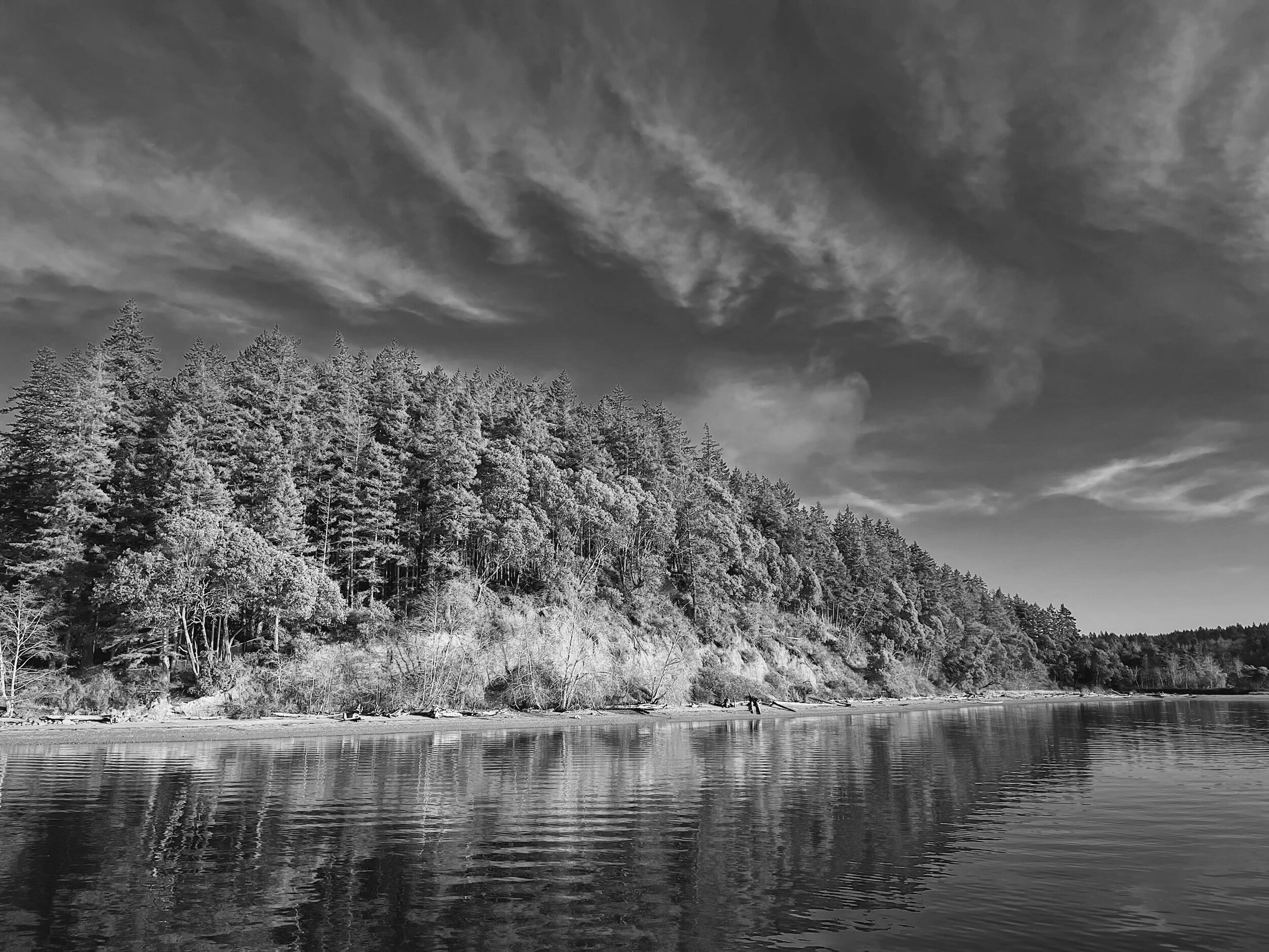 8F57266F-41E8-433A-BC19-D7AD2B826444.jpeg