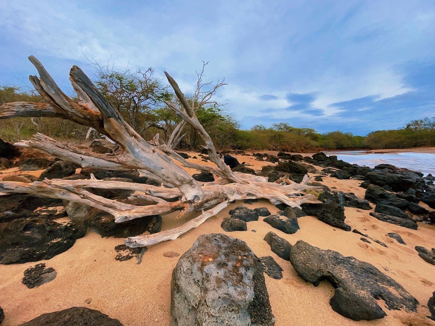Moloka’i, Hawai’i. // Melanie Boling, Boling Expeditionary Research, 2022