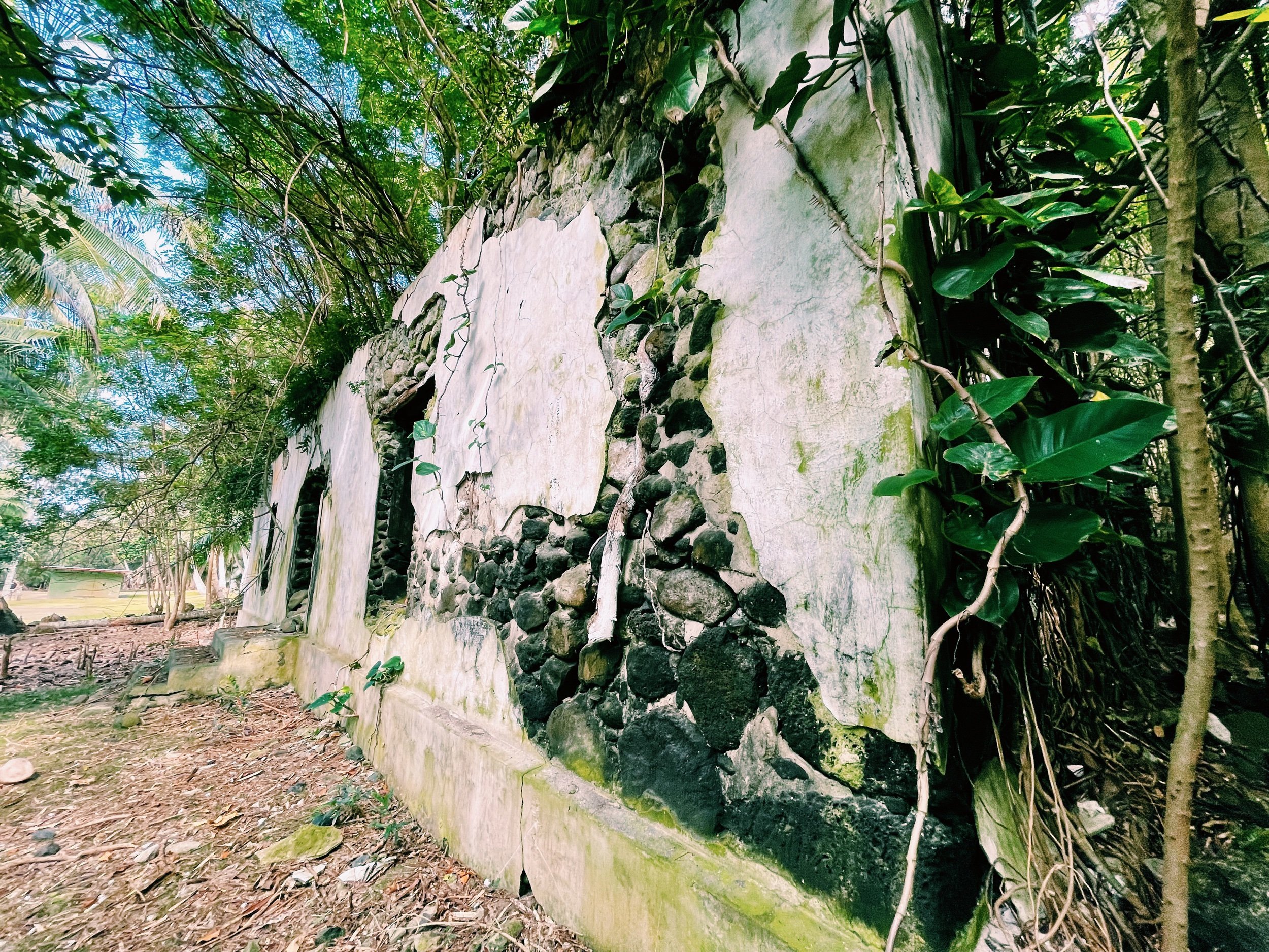 Moloka’i, Hawai’i. // Melanie Boling, Boling Expeditionary Research, 2022
