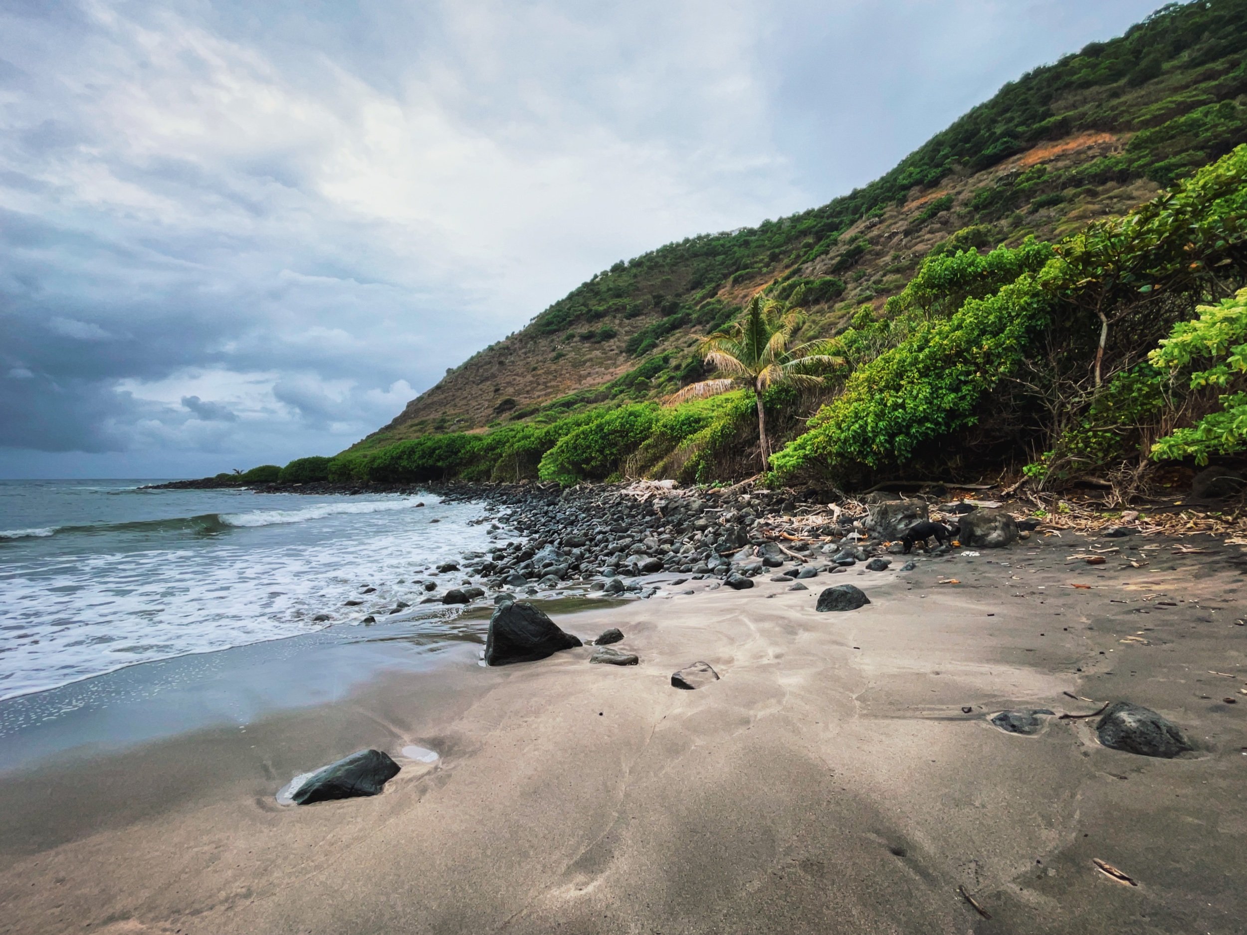 Moloka’i, Hawai’i. // Melanie Boling, Boling Expeditionary Research, 2022
