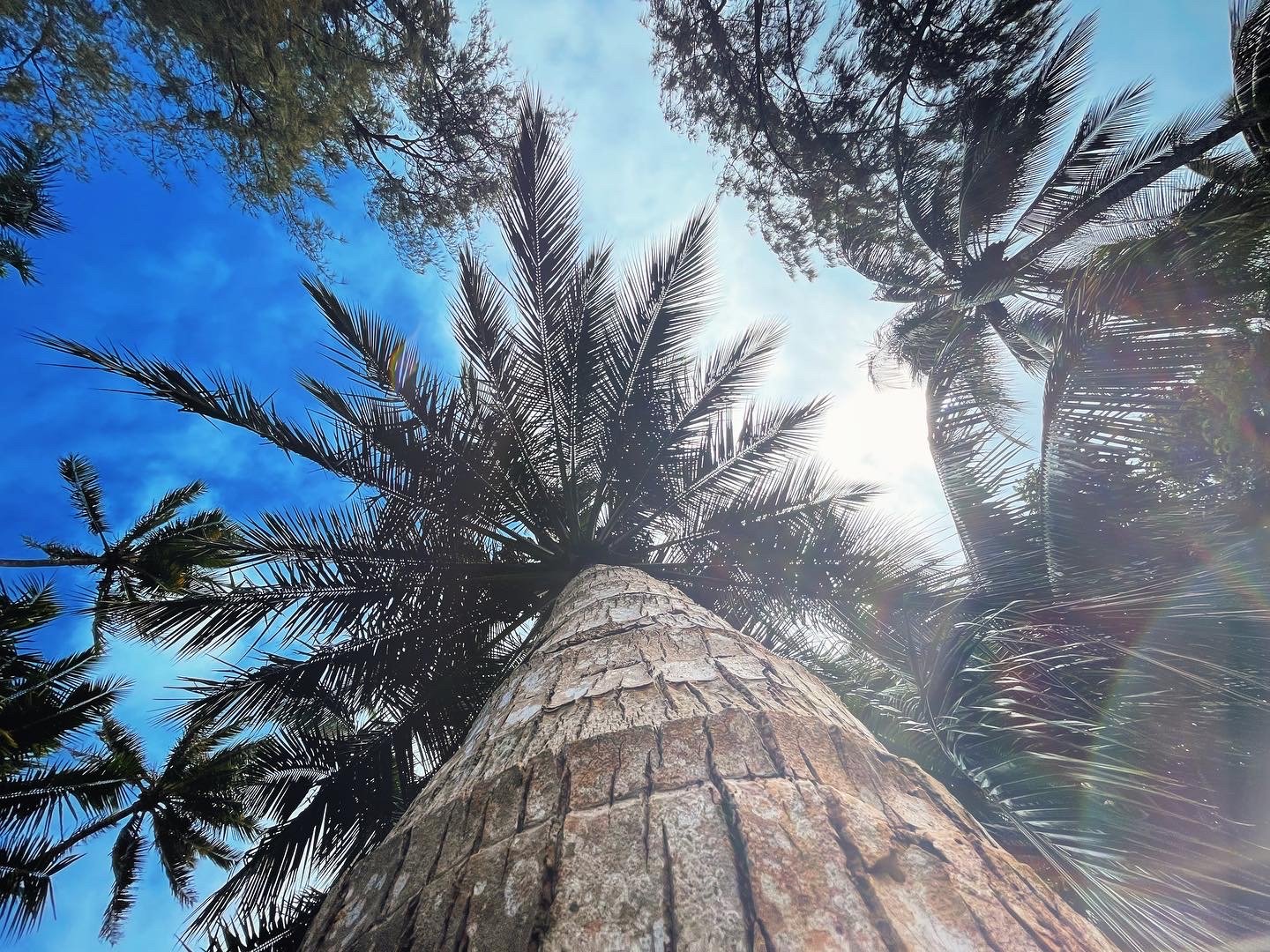 Moloka’i, Hawai’i. // Melanie Boling, Boling Expeditionary Research, 2022
