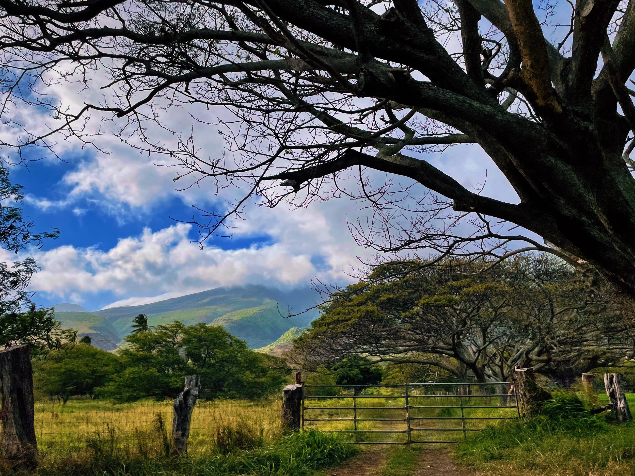 Moloka’i, Hawai’i. // Melanie Boling, Boling Expeditionary Research, 2022