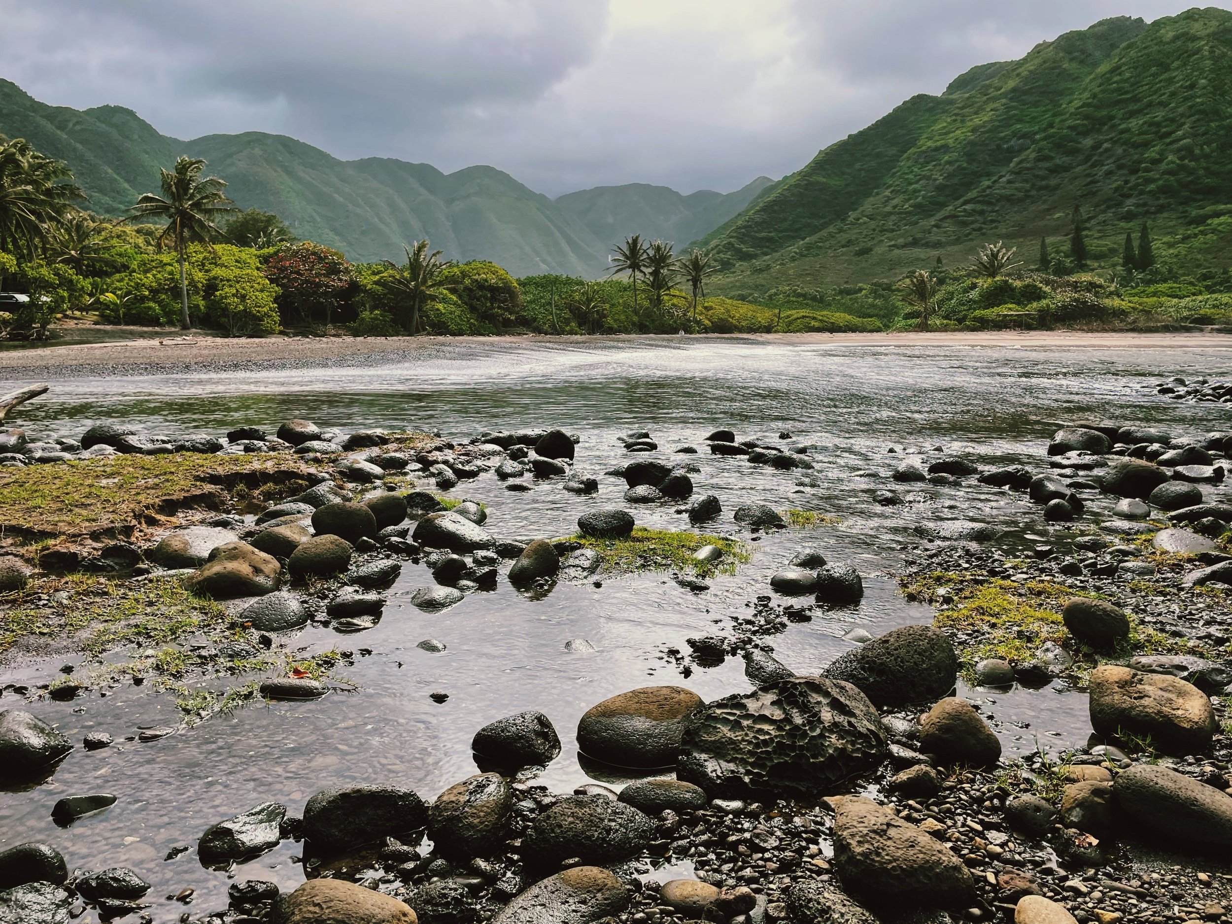 Moloka’i, Hawai’i. // Melanie Boling, Boling Expeditionary Research, 2022