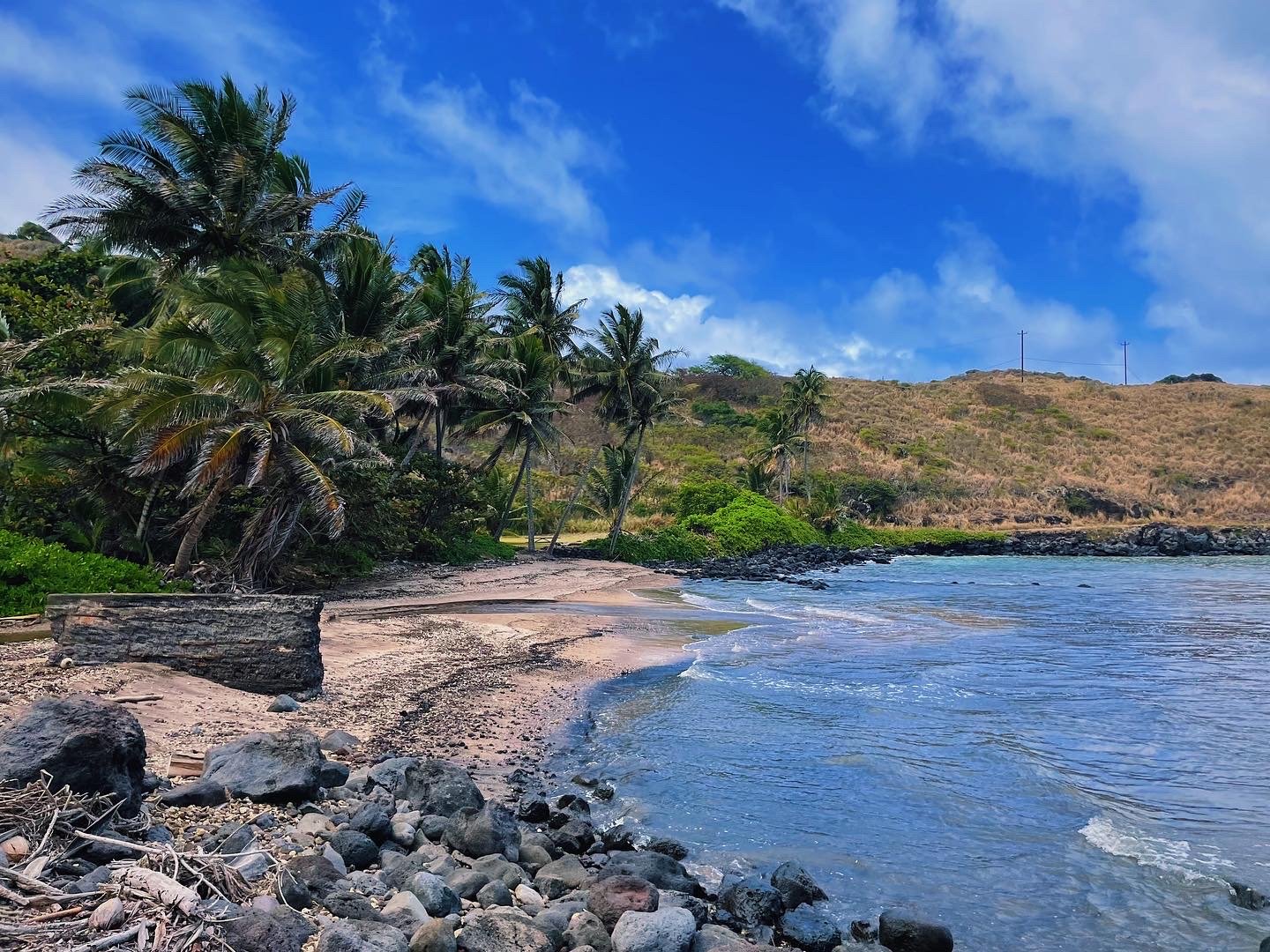 Moloka’i, Hawai’i. // Melanie Boling, Boling Expeditionary Research, 2022
