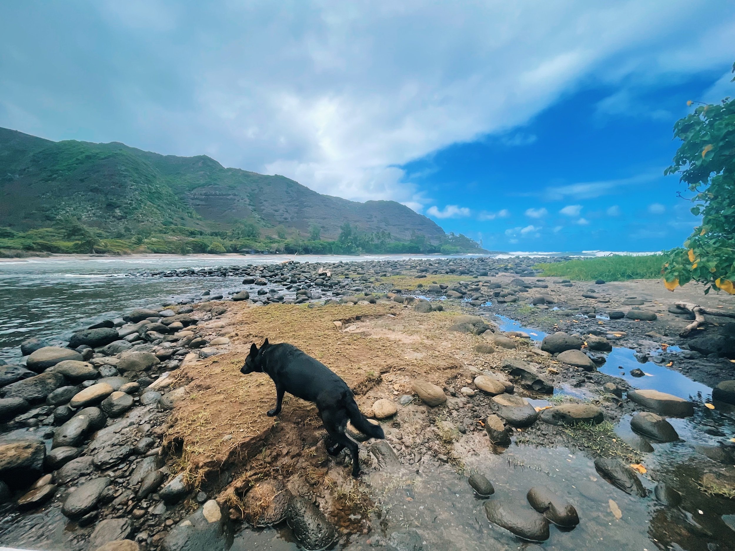 Moloka’i, Hawai’i. // Melanie Boling, Boling Expeditionary Research, 2022
