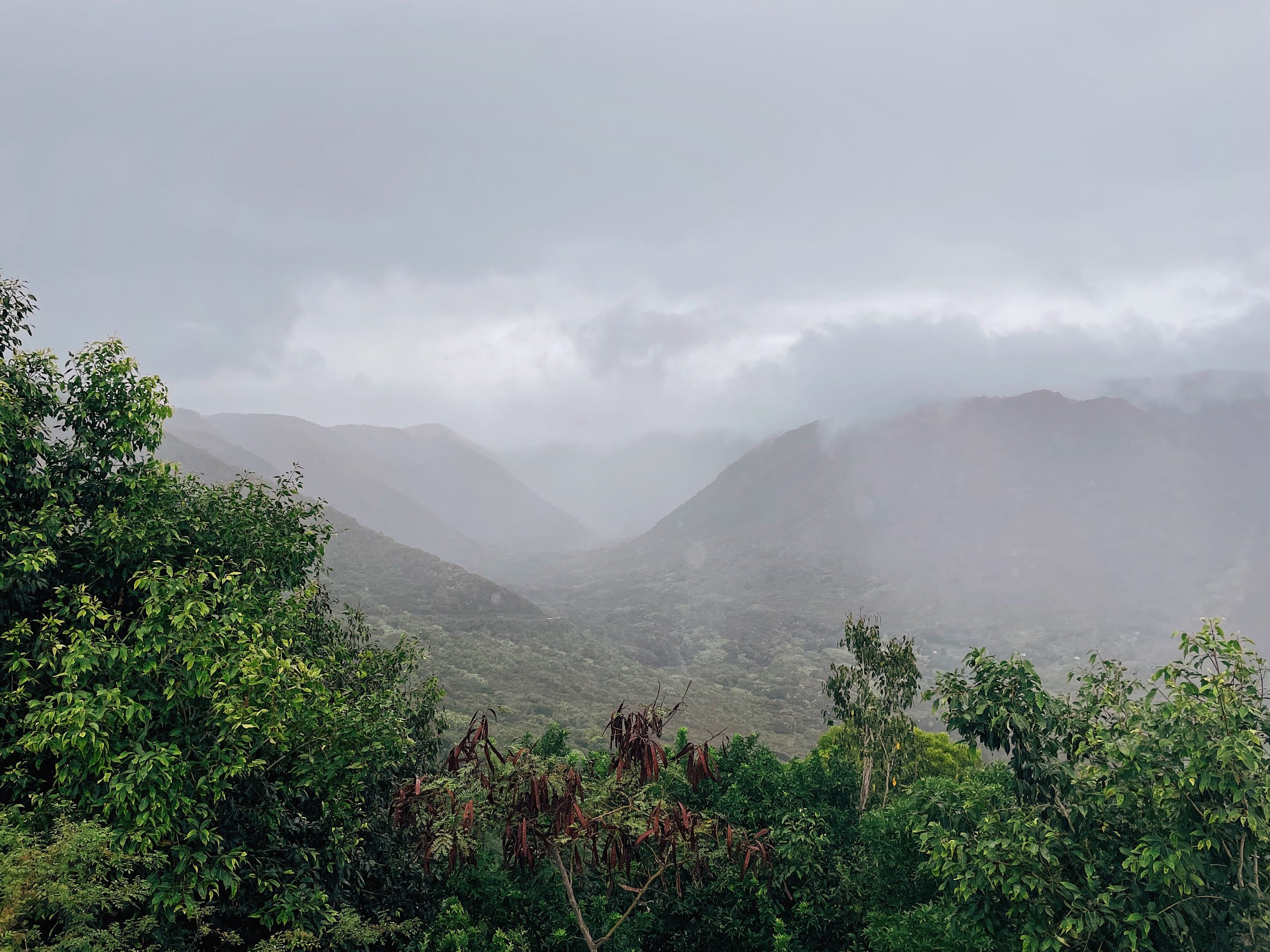 Moloka’i, Hawai’i. // Melanie Boling, Boling Expeditionary Research, 2022