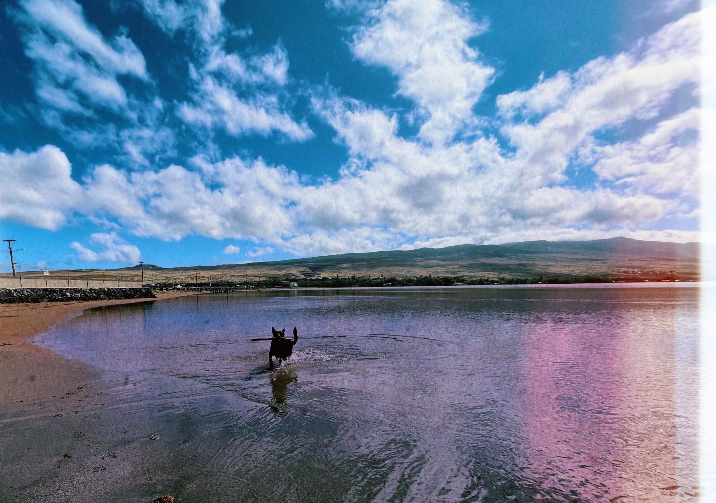 Moloka’i, Hawai’i. // Melanie Boling, Boling Expeditionary Research, 2022