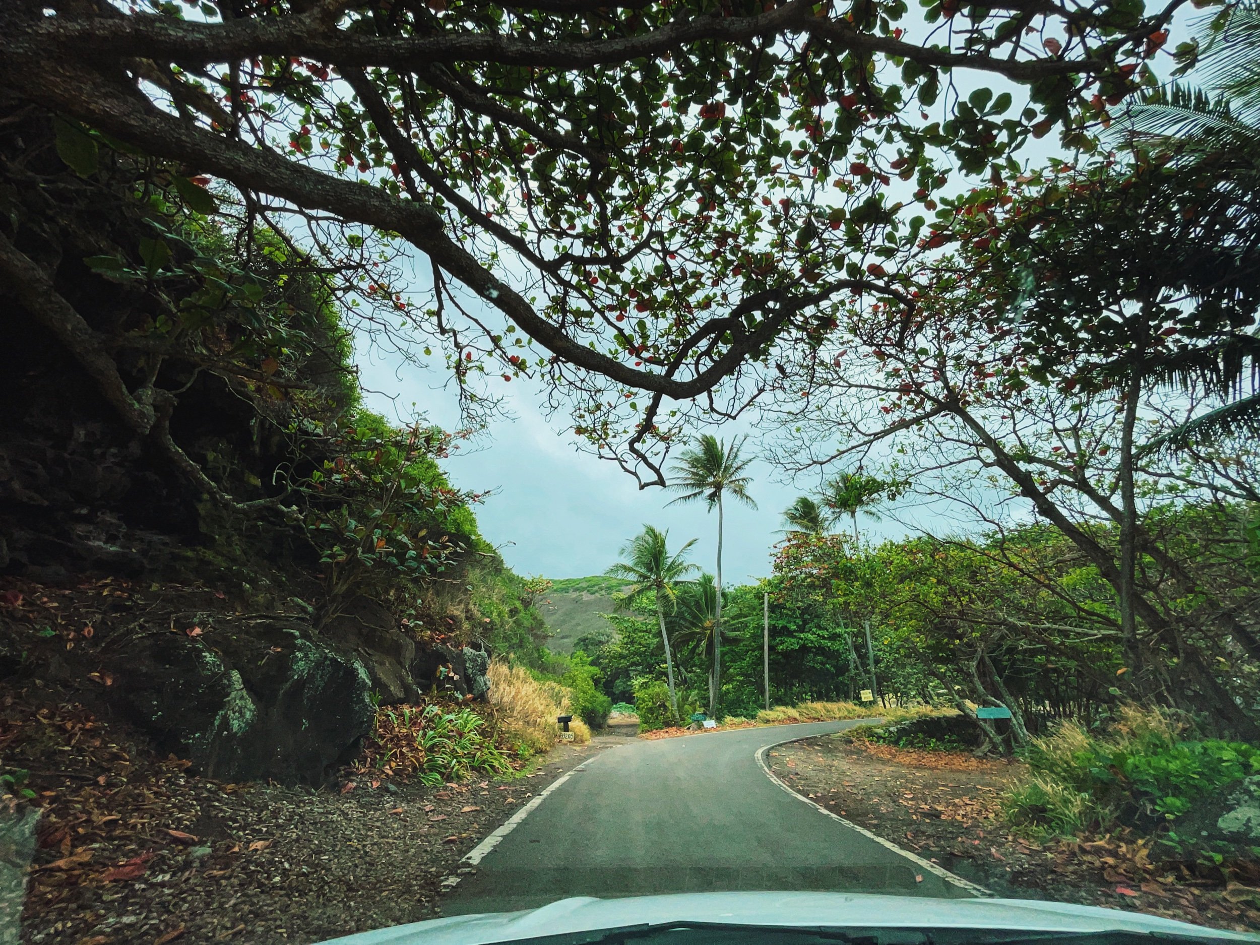 Moloka’i, Hawai’i. // Melanie Boling, Boling Expeditionary Research, 2022