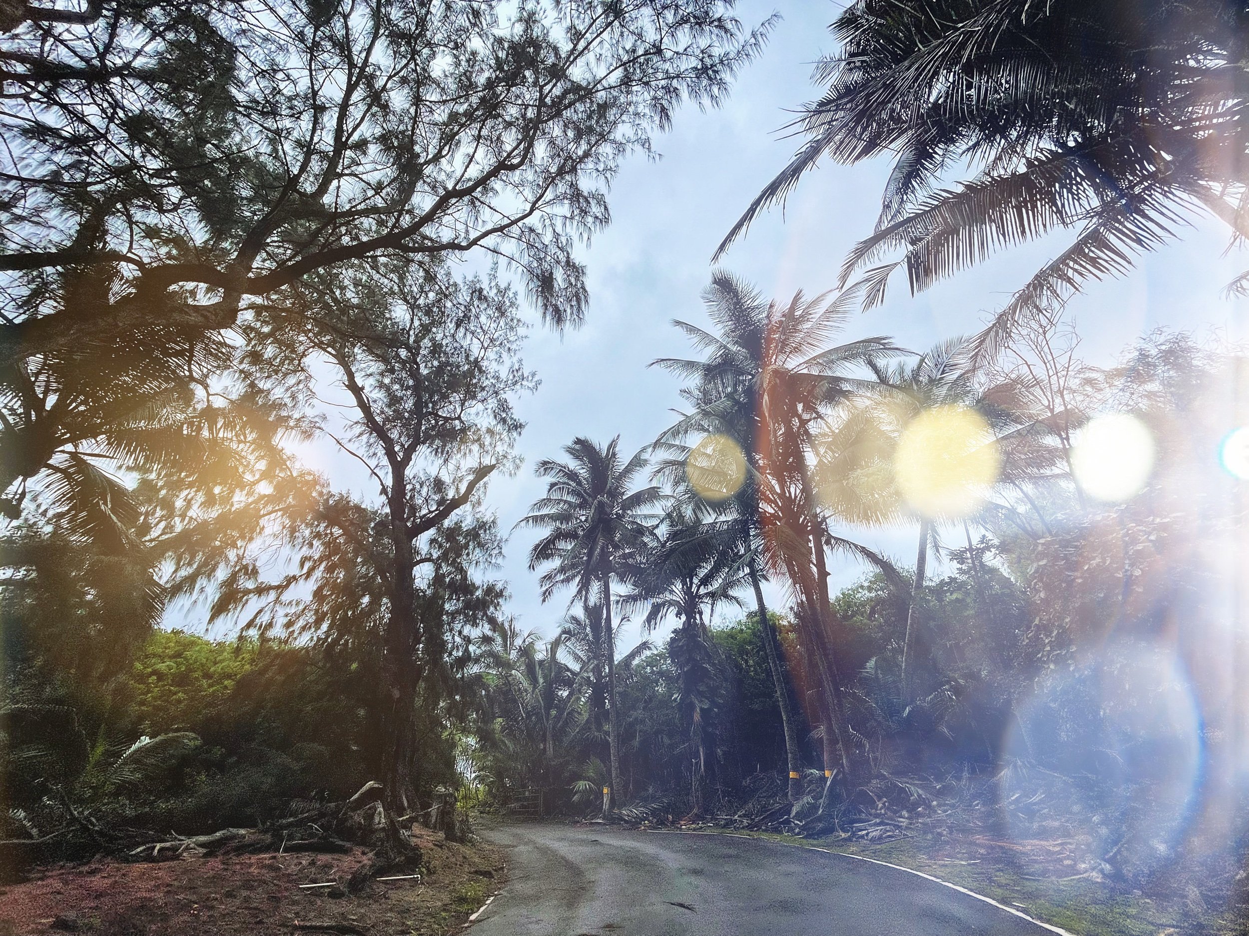 Moloka’i, Hawai’i. // Melanie Boling, Boling Expeditionary Research, 2022.