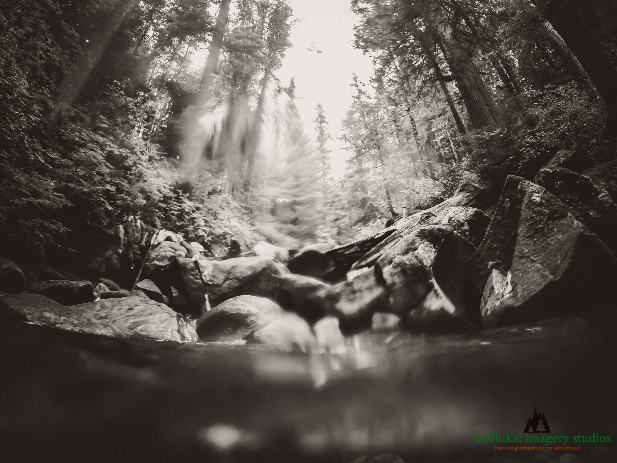 6E91B2AC-89FF-459F-B5CA-D1542C972CBE_1_201_a.jpeg