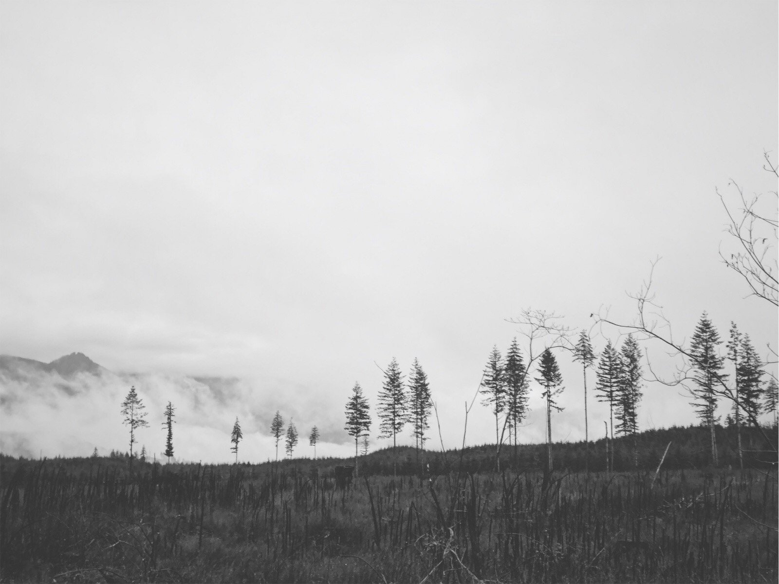 CC92884F-D1D5-433E-AA6B-34430D806BA3.jpeg