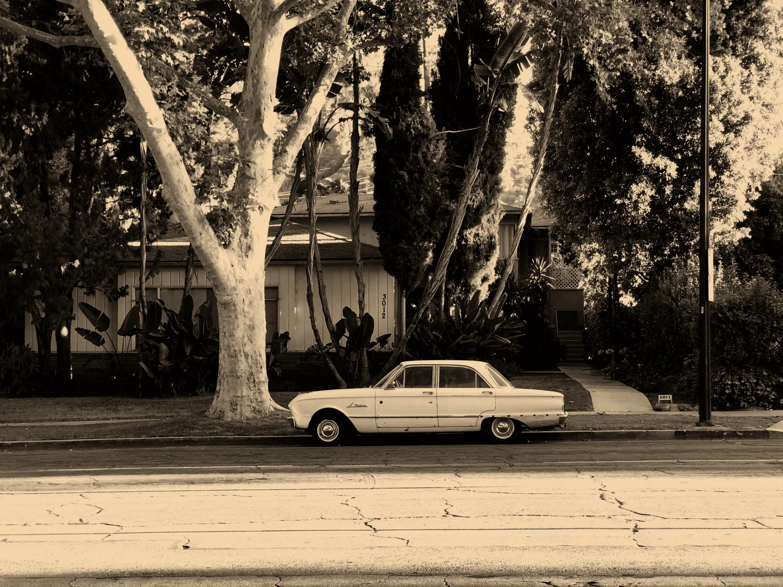 Burbank.jpg