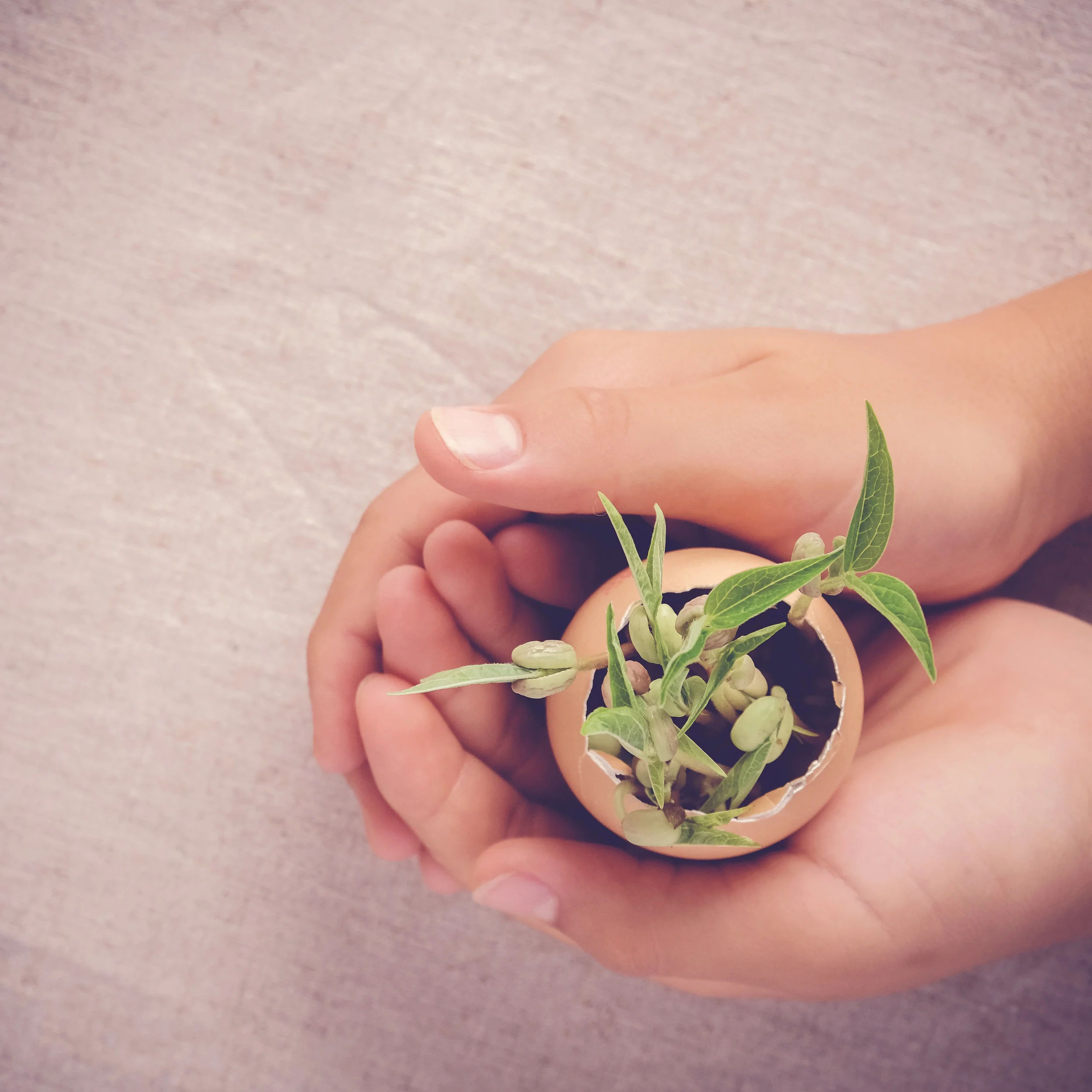 10 Wonderful Ways To Go Green