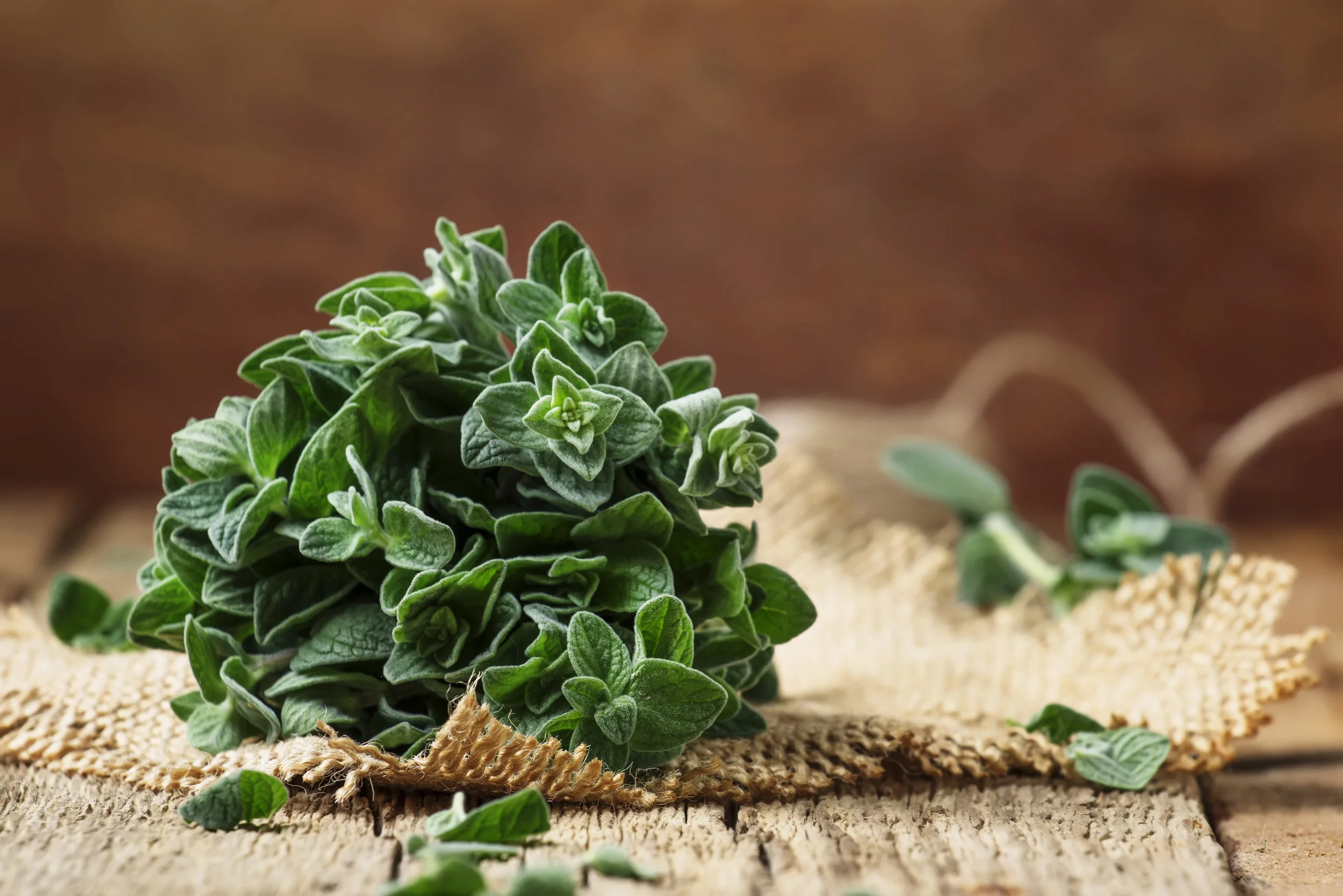 5 Fresh Herbs Everyone Should Use