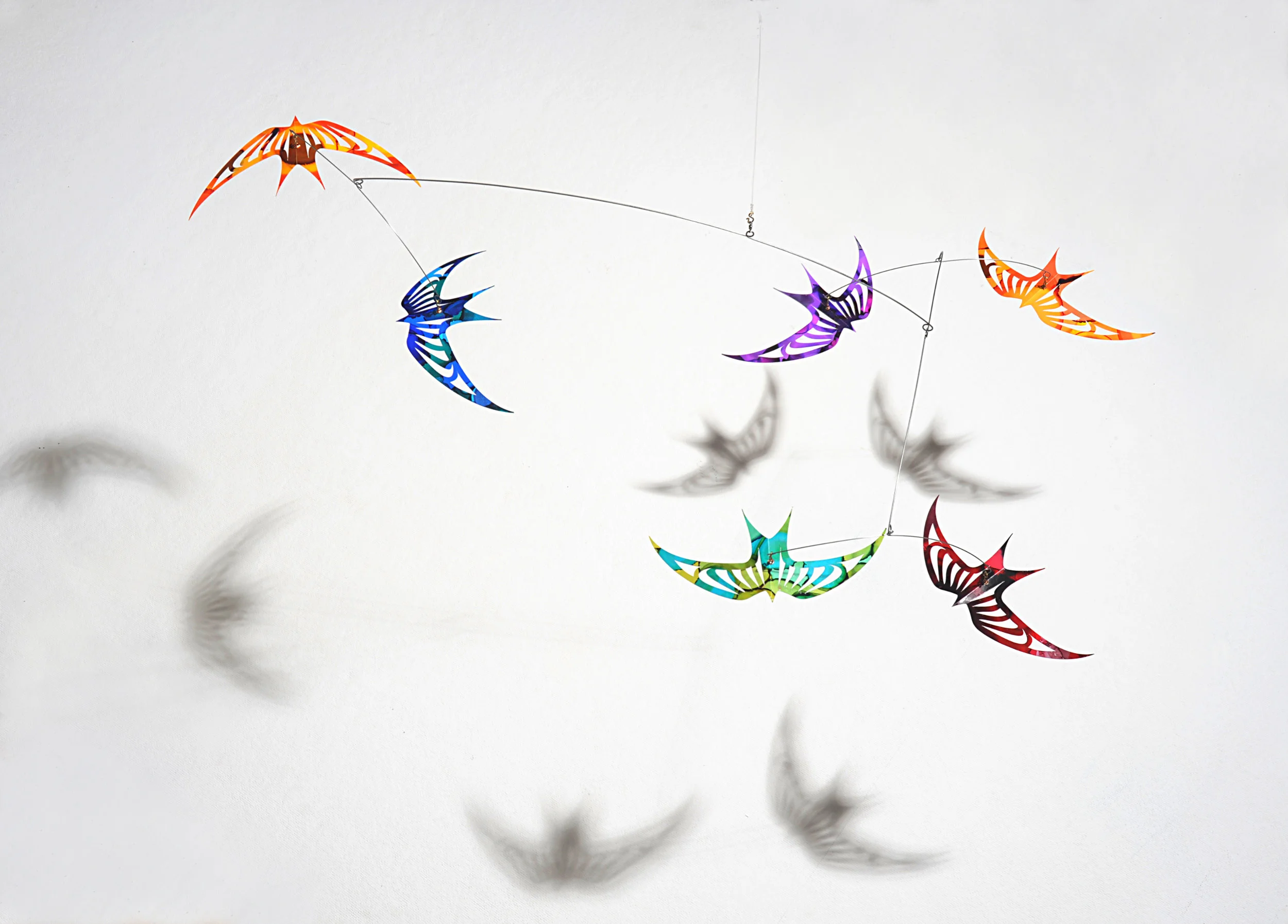 Zapp Soaring Swallows.jpg