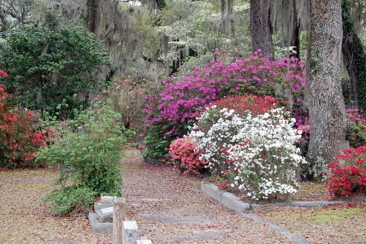 Entering the cemetery