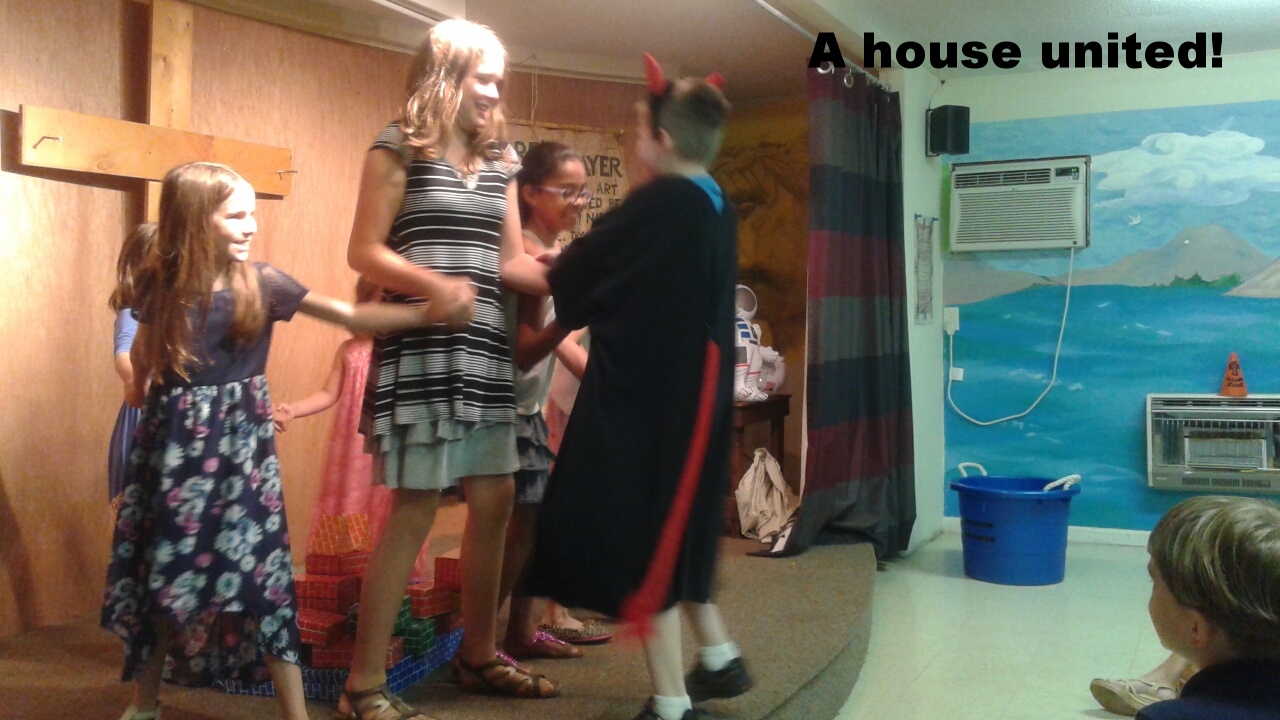 protecting the house 2.jpg