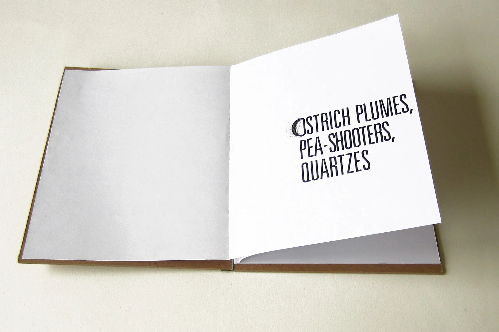 book opening .jpg