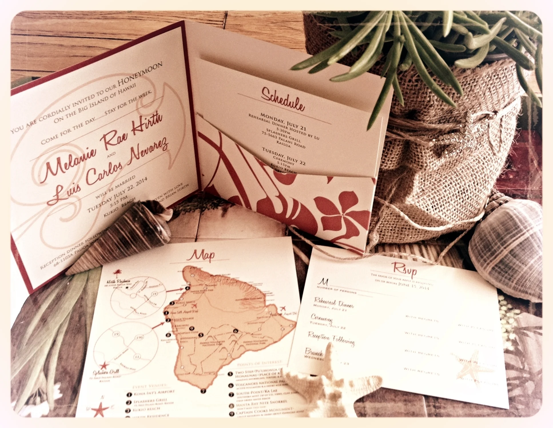 Big Island Destination Wedding 