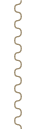 burrow_site_desc_line-01.png