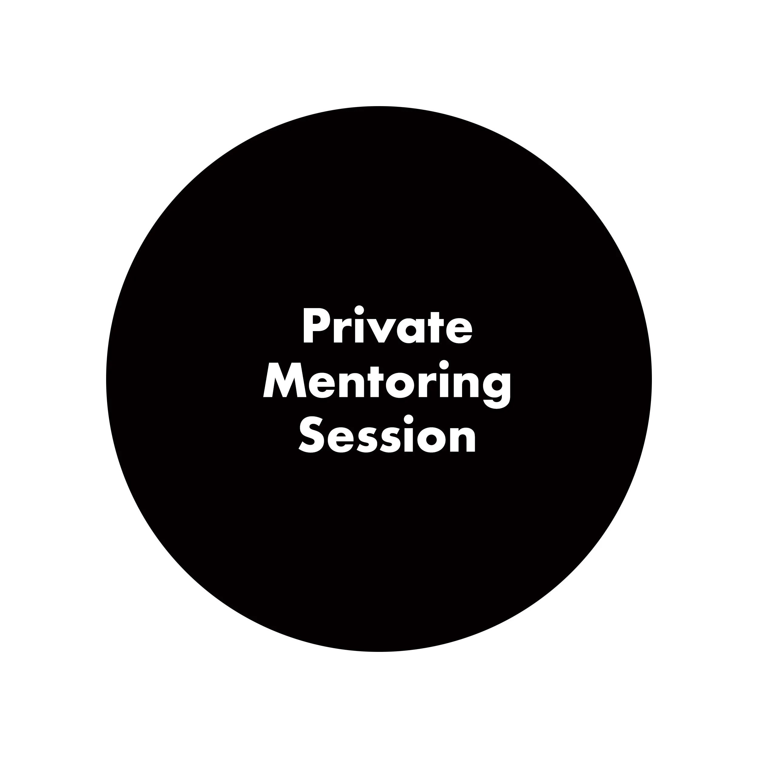 Private Mentoring Session