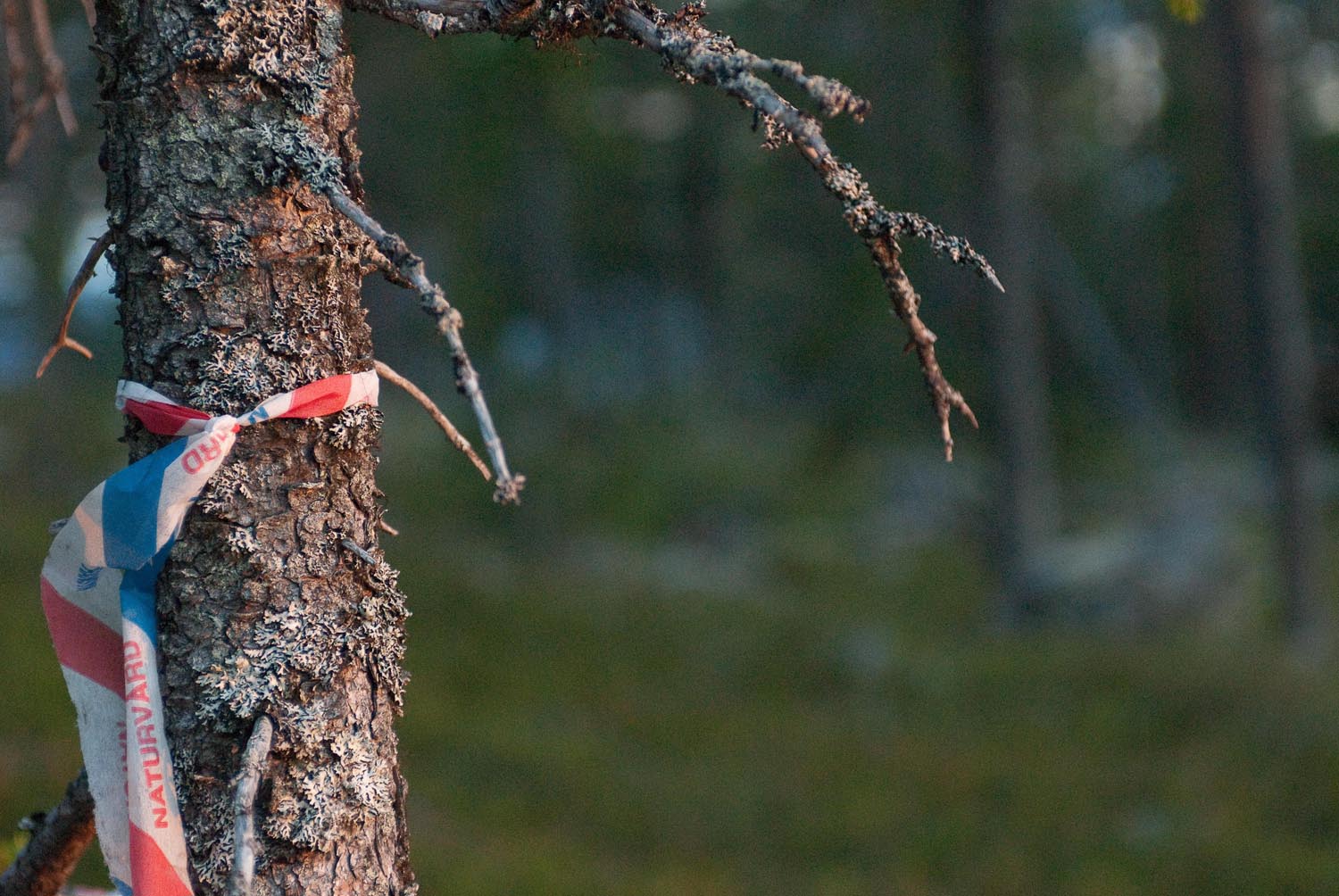 Sweden-2.jpg