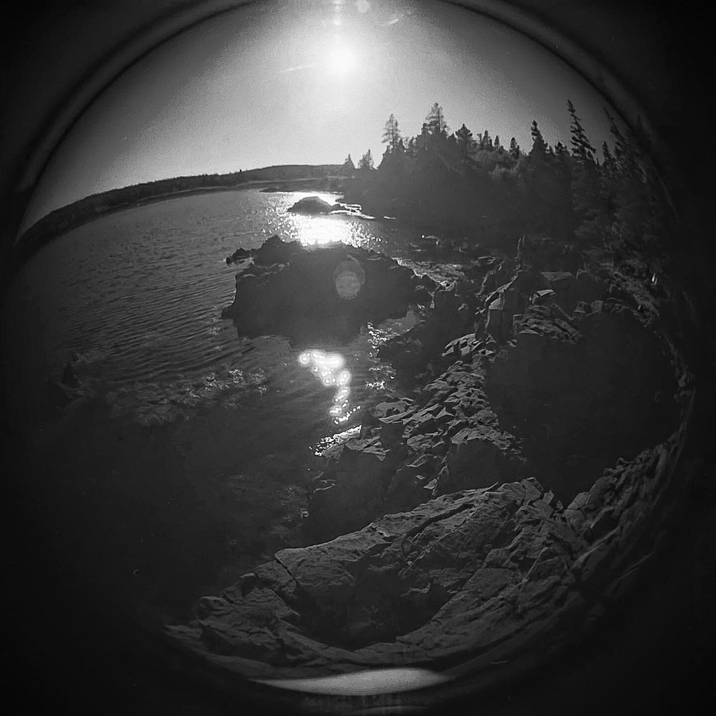 The sun sets on another week, Maine cove shot on film via fisheye lens on analog camera.

#film #filmisalive #120film #120filmphotography #filmisnotdead #blackandwhite #blackandwhitephotography #lomo #lomography #dianafplus #dianaf #analog #analogpho