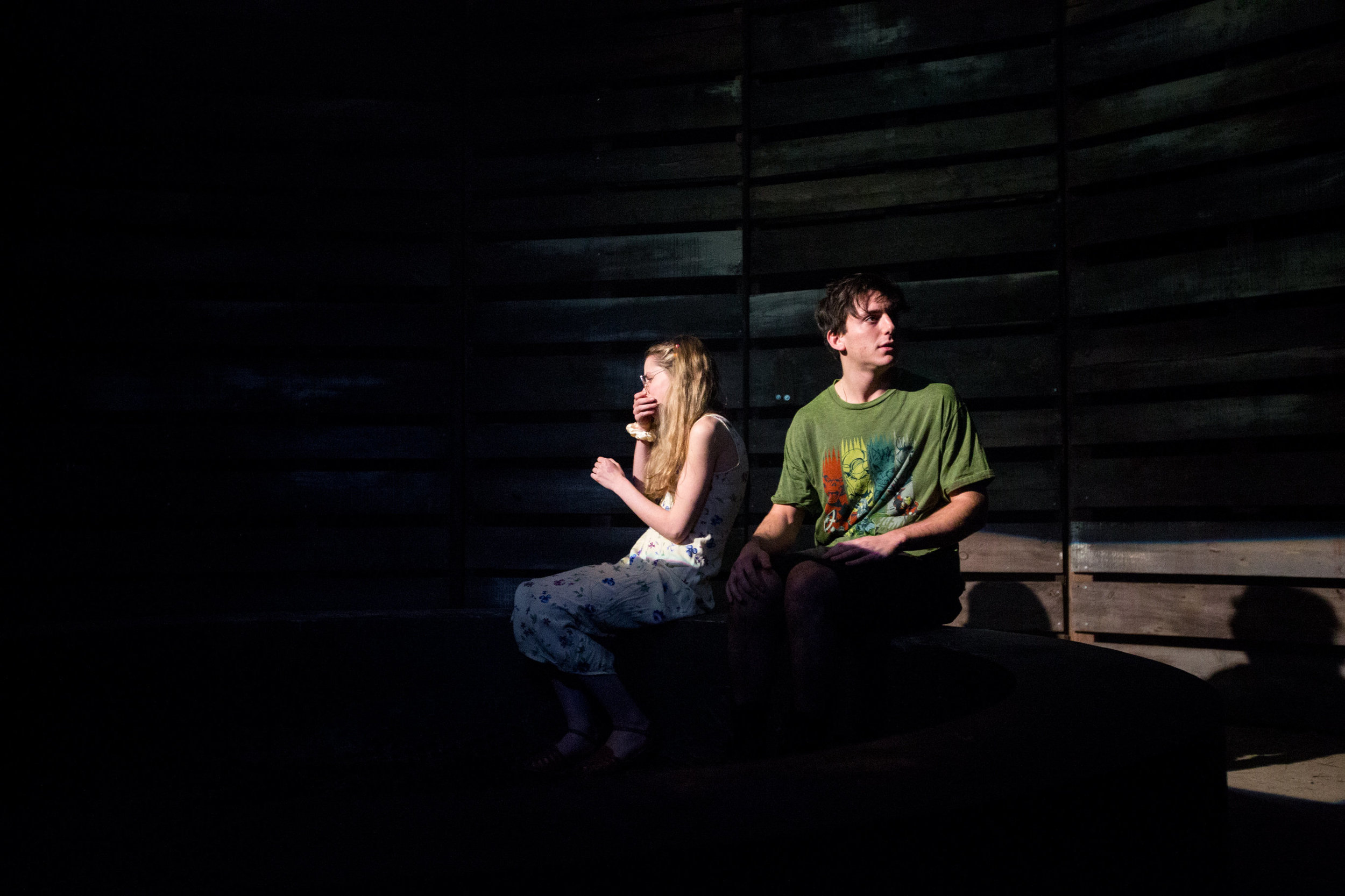 HeatherPhelpsLipton-NewGeorges-Alligator-156.jpg