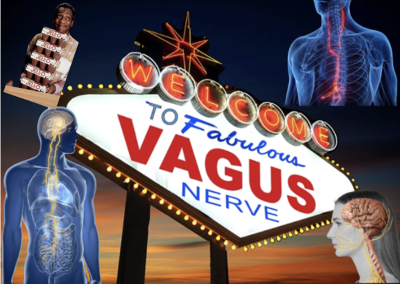 What Happens In Vagus…(And Jack’s Gonna Do Greased Lightning!).