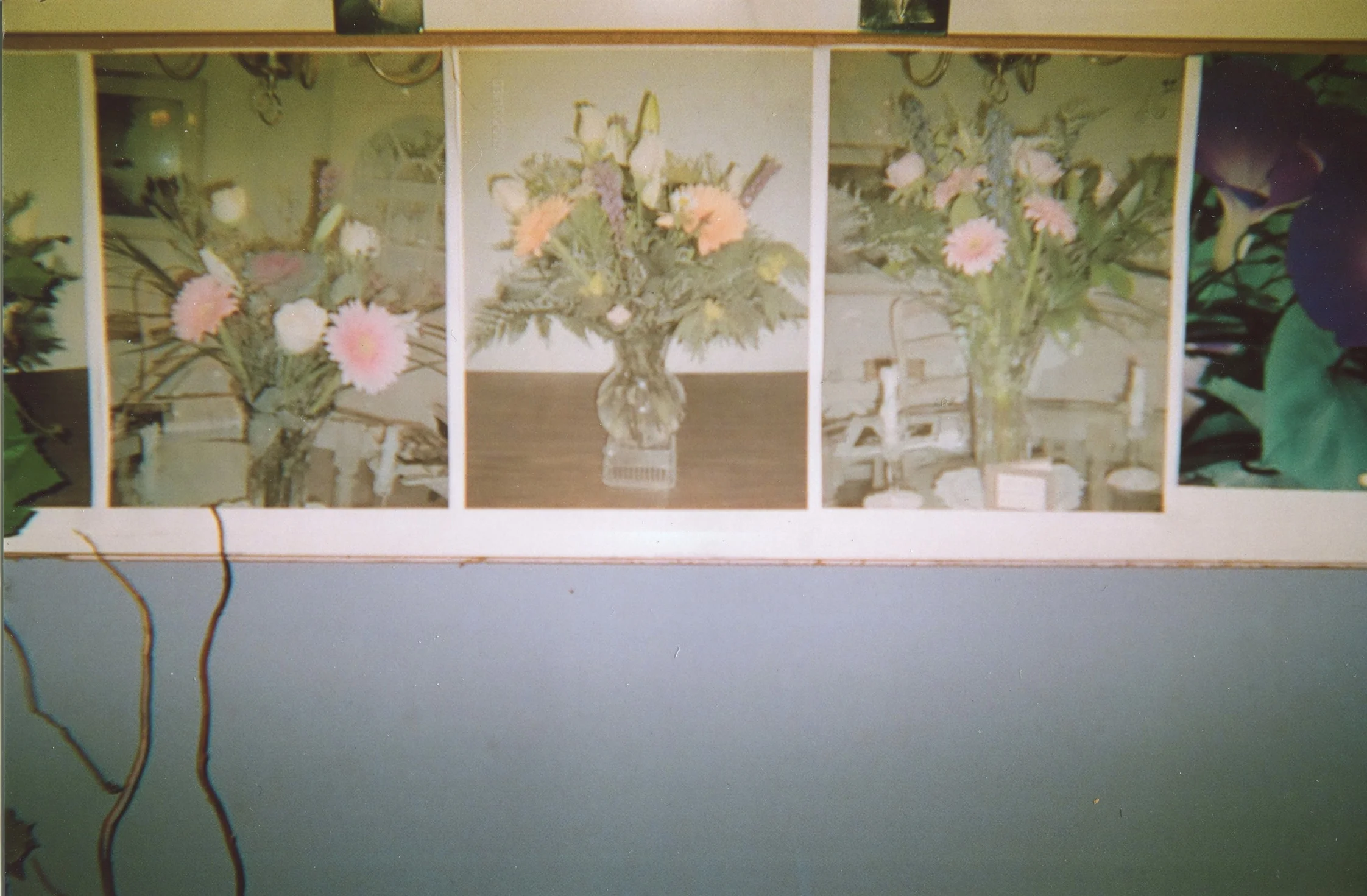 img003.jpg
