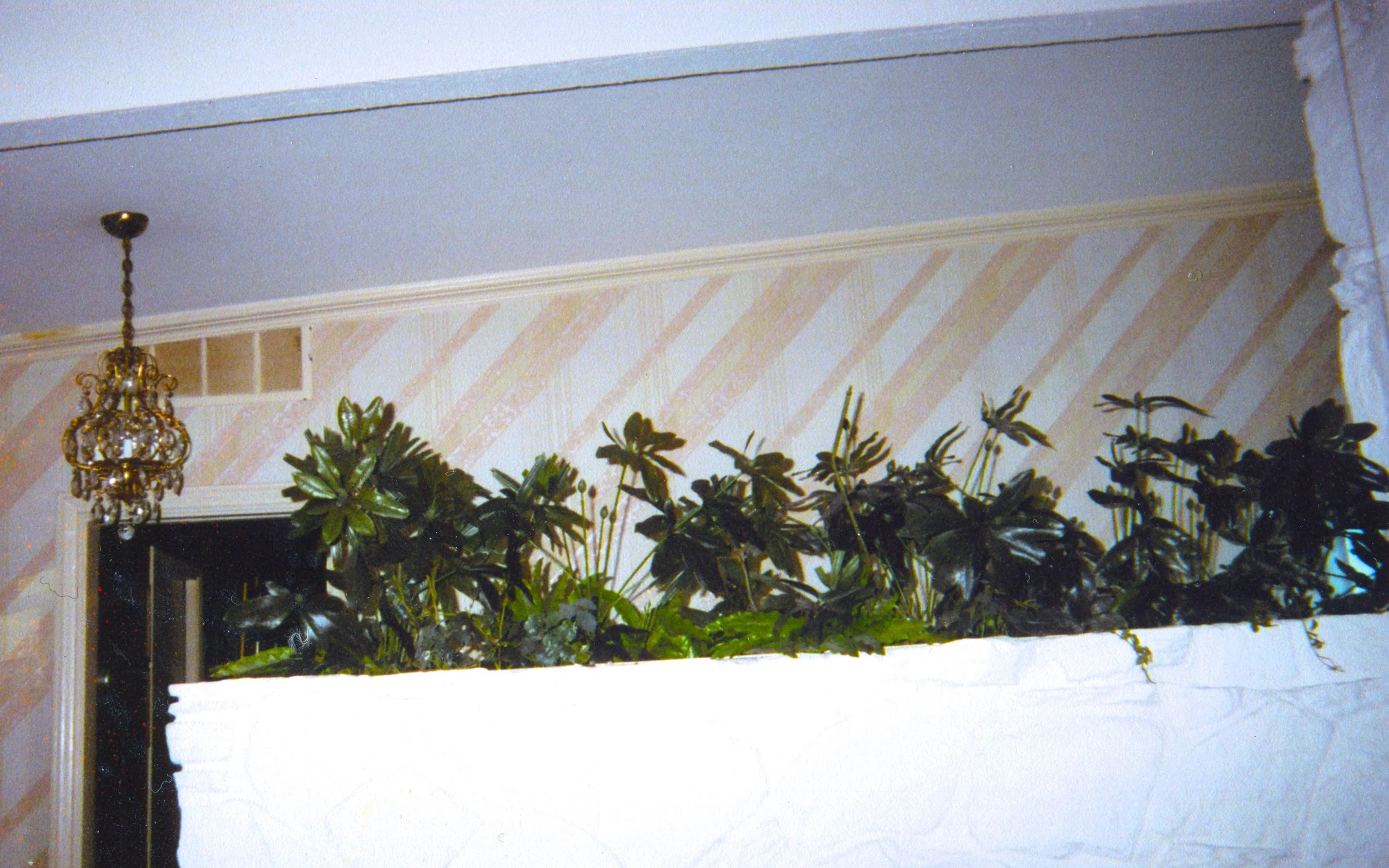 img010.jpg