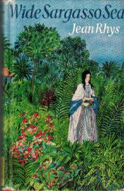 The novel that reignited her literary career.