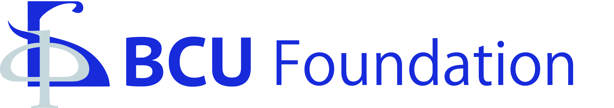 BCU Foundation logo.jpg
