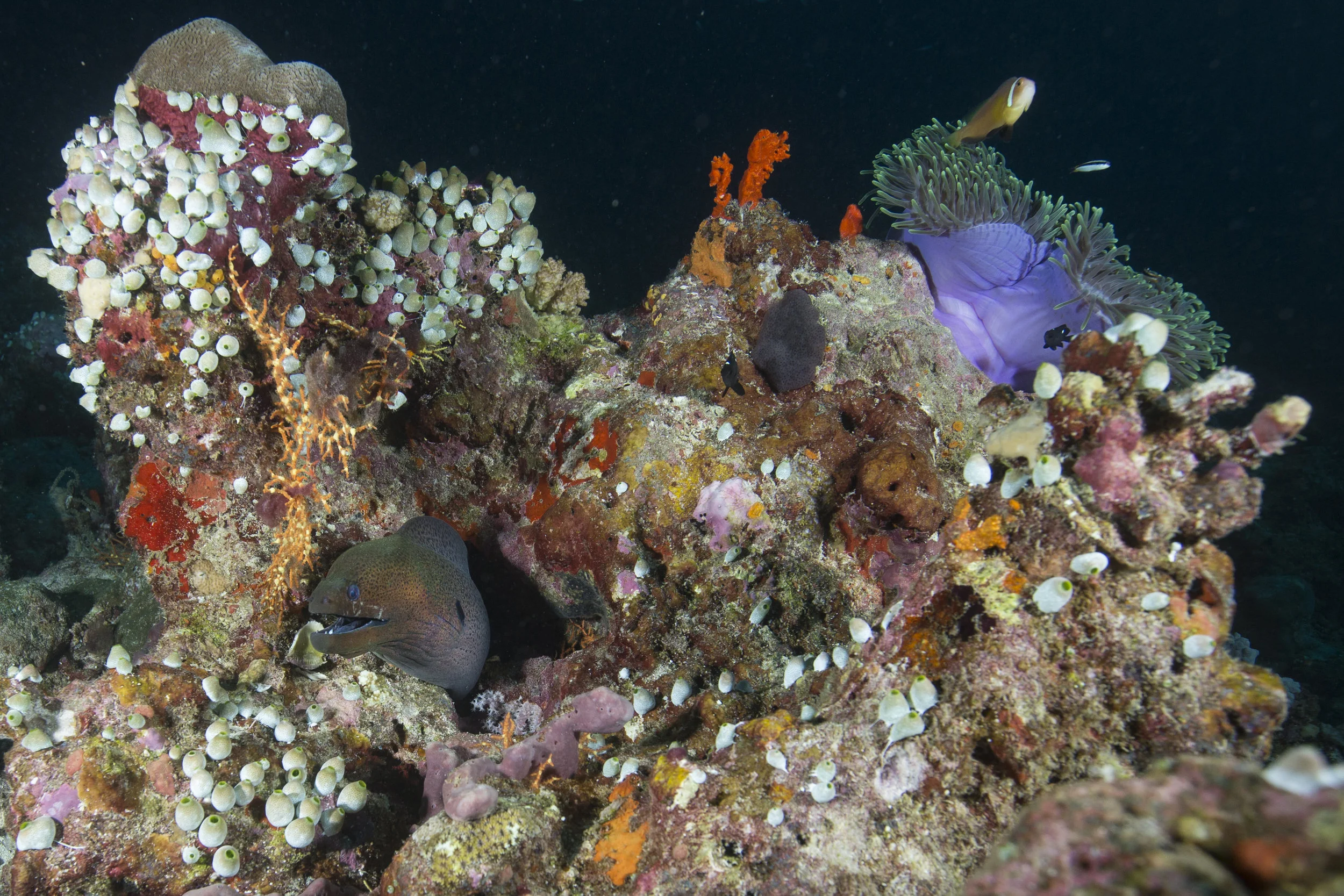 2B8A2855.jpg