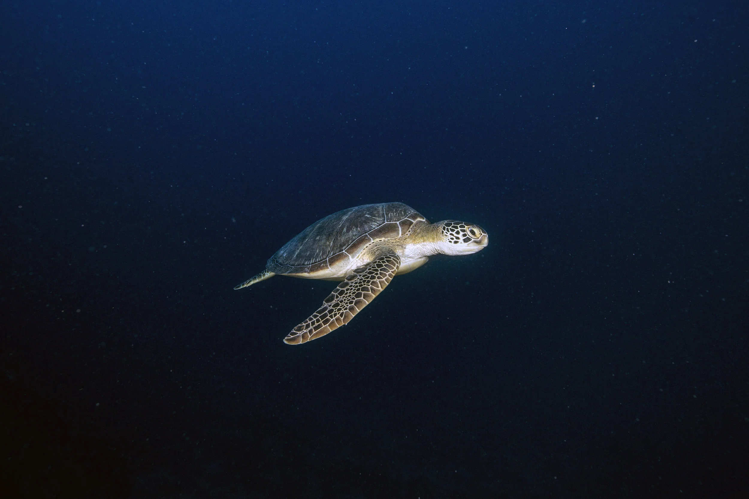 2B8A3533b.jpg
